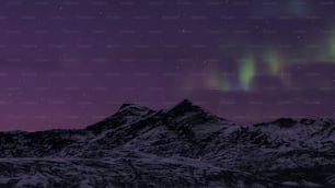 Un ciel violet avec quelques lumières vertes et violettes