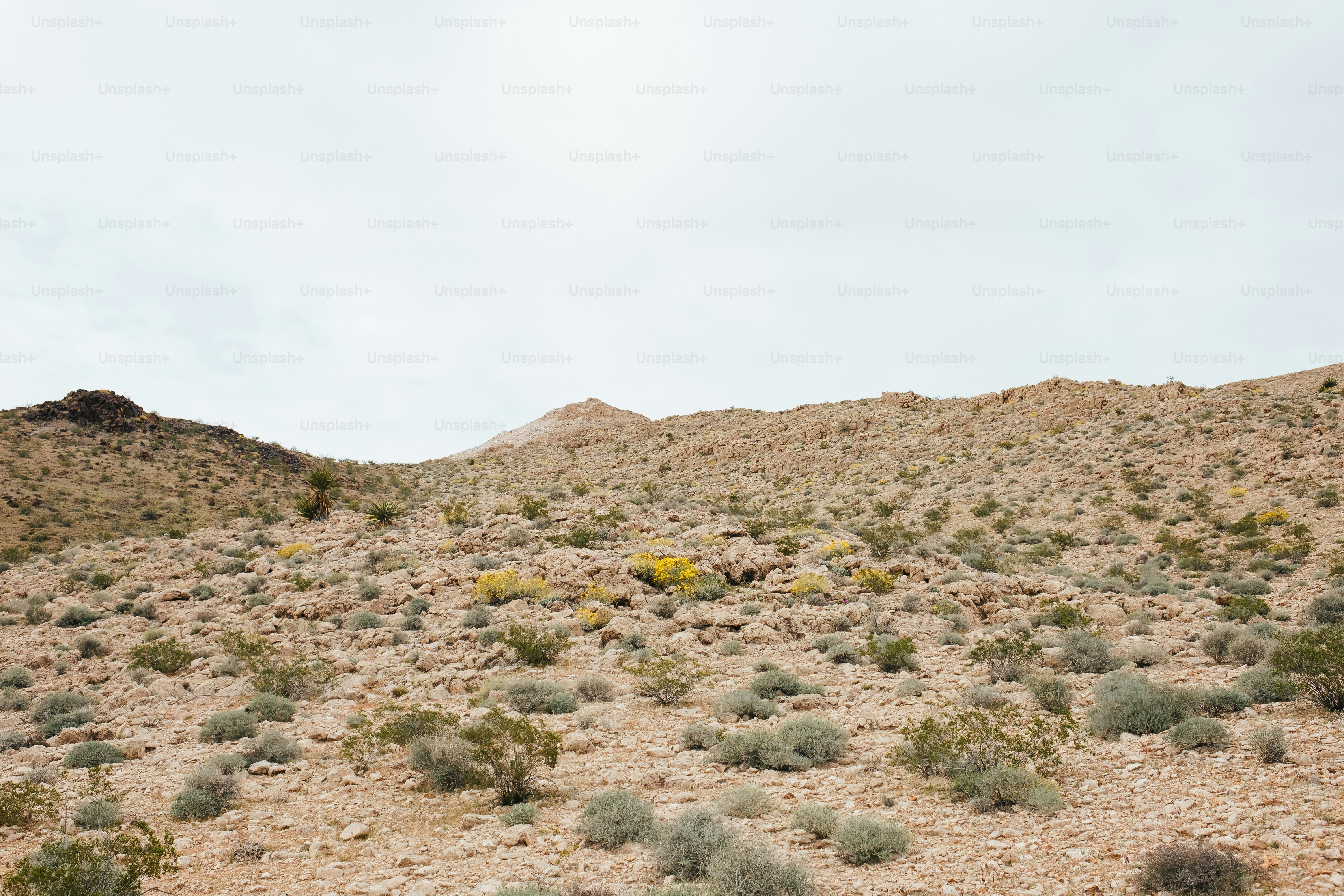 Une colline couverte de terre et de plantes sous un ciel nuageux