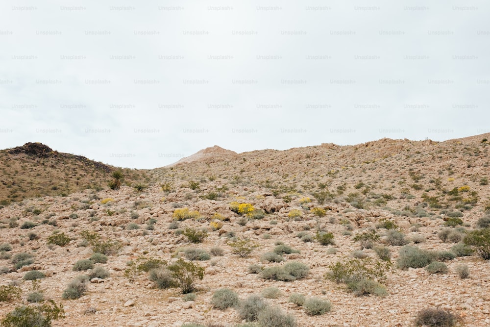 a hill covered in dirt and plants under a cloudy sky