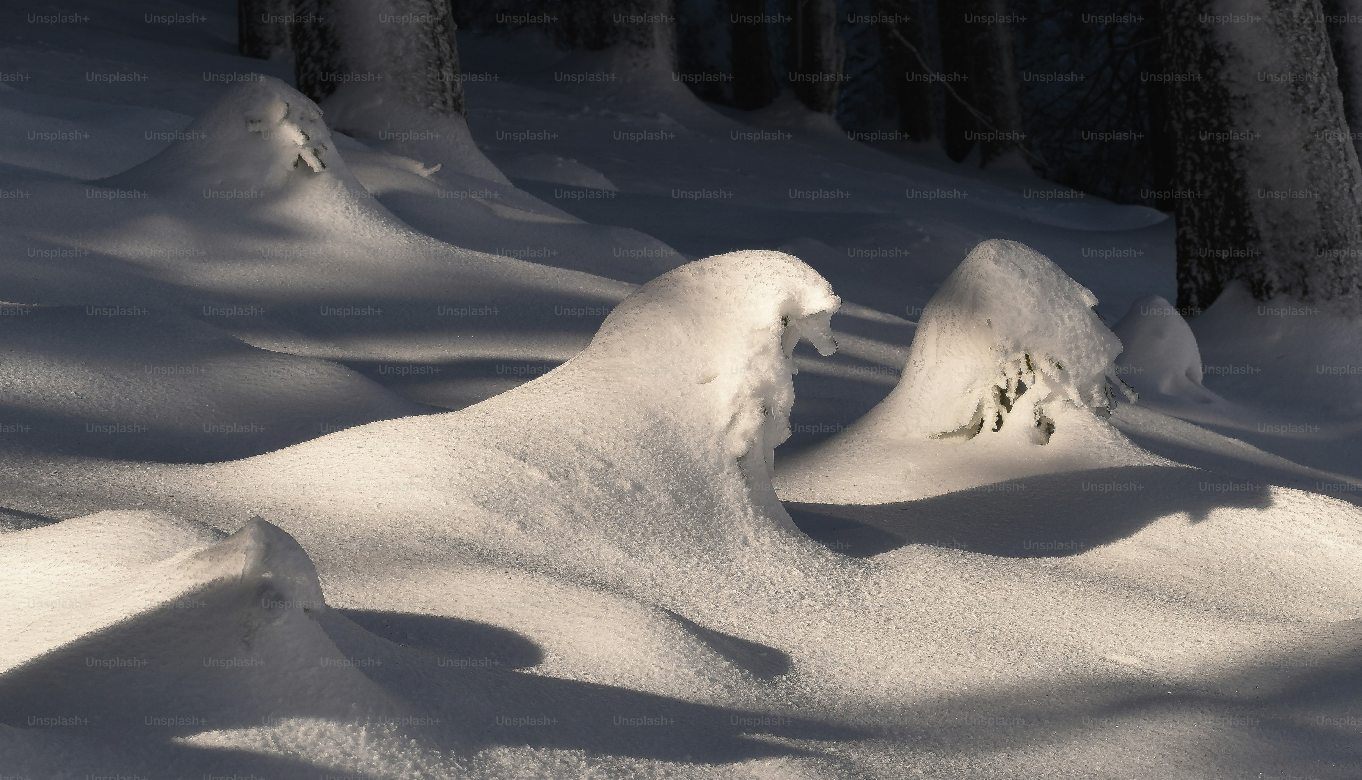 A person riding skis down a snow covered slope photo – Sunburst Image ...