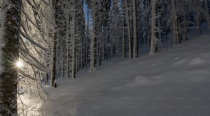 a person riding skis down a snow covered slope