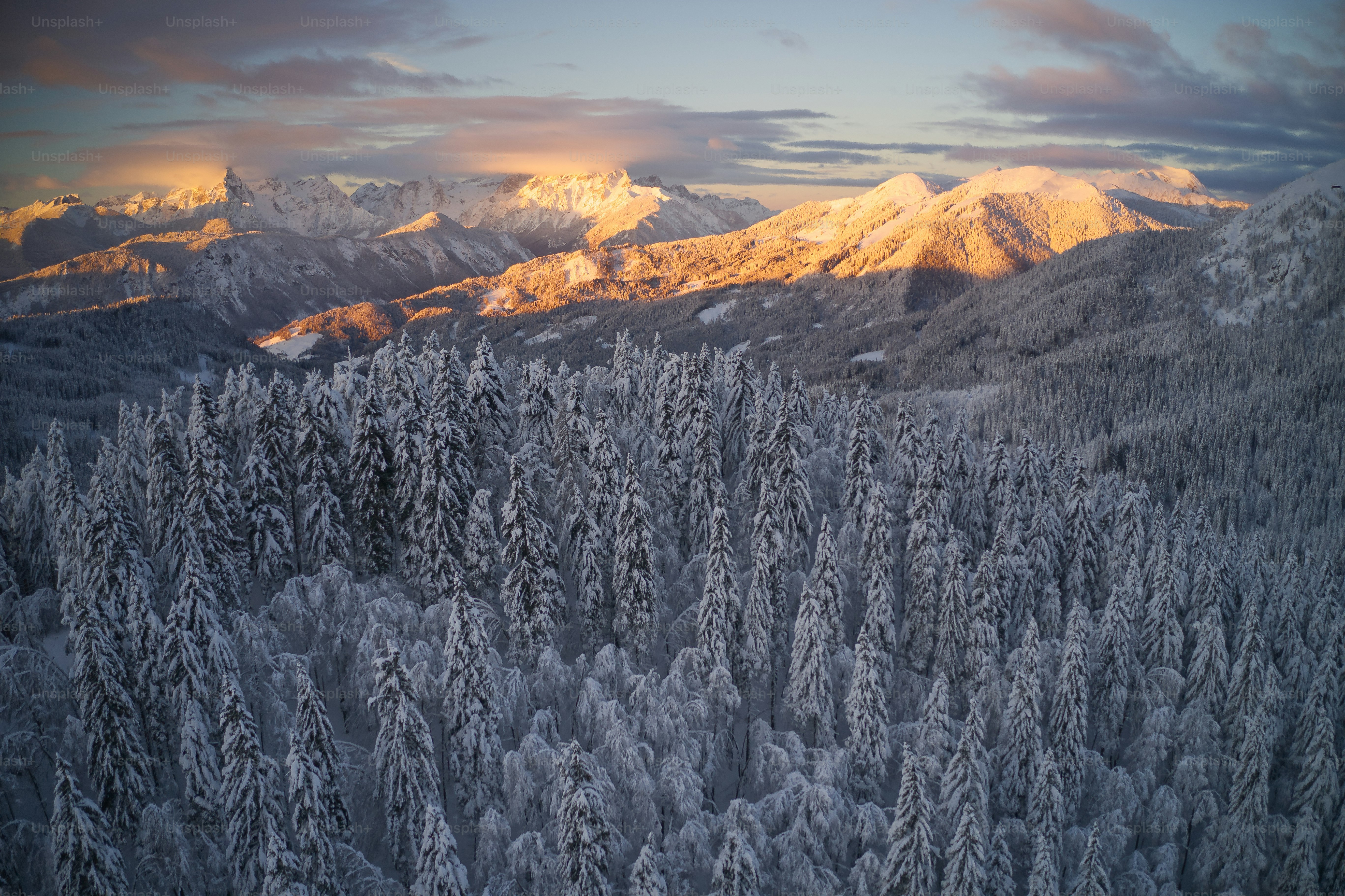 A view of a snowy mountain range with trees in the foreground photo ...