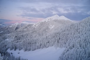Una montagna coperta di neve e alberi sotto un cielo nuvoloso