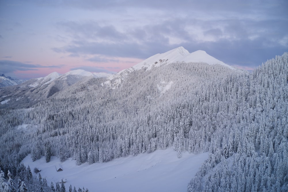 曇り空の下の雪と木々に覆われた山