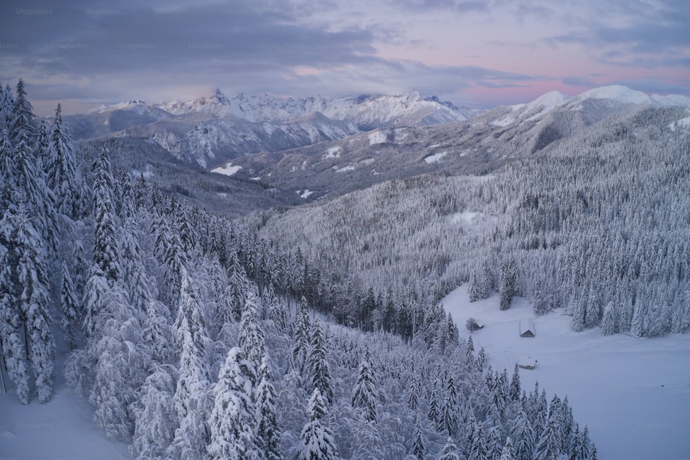 a view of a snowy mountain range with trees in the foreground