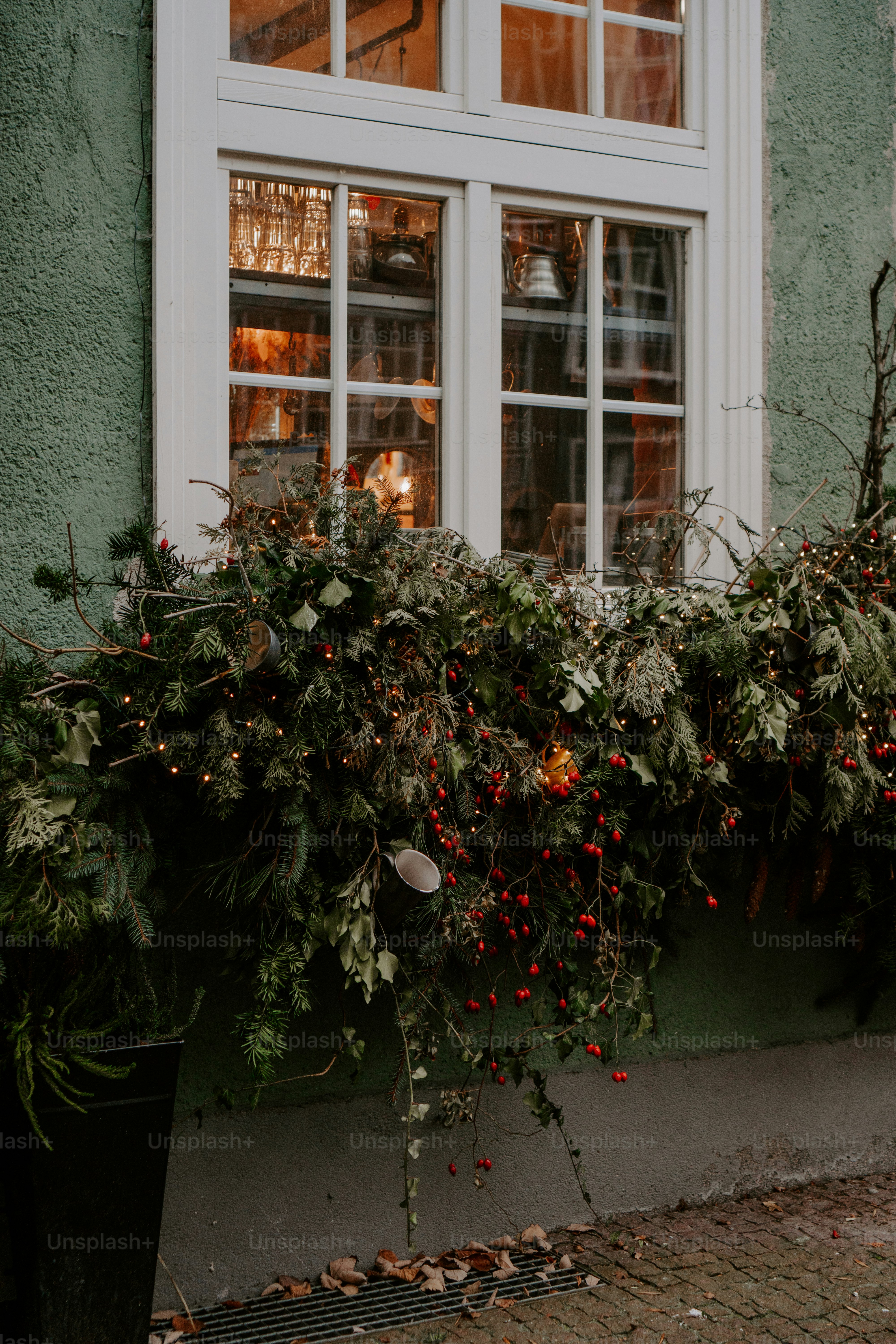 a window with a bunch of plants in front of it
