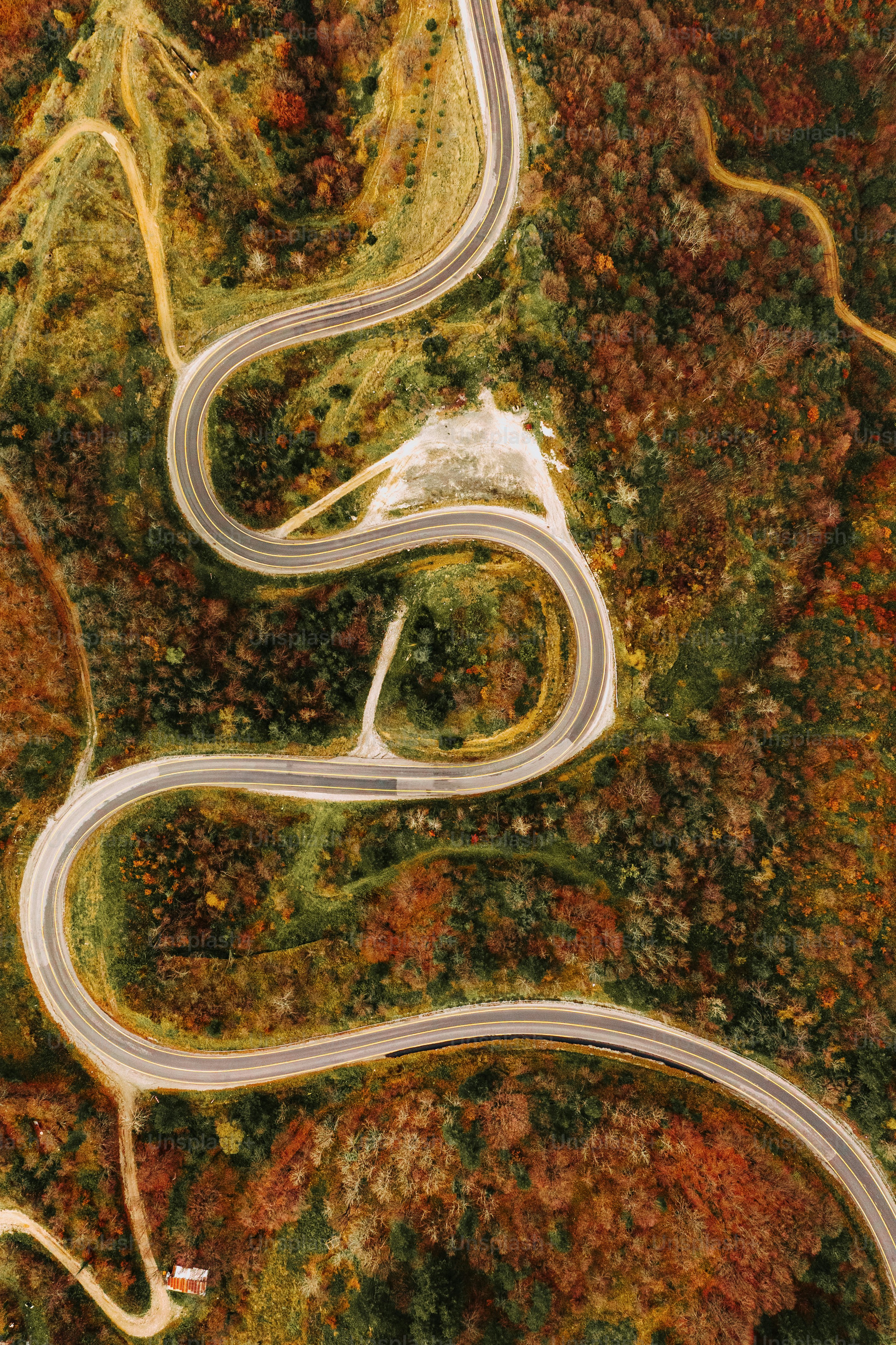an aerial view of a winding road surrounded by trees