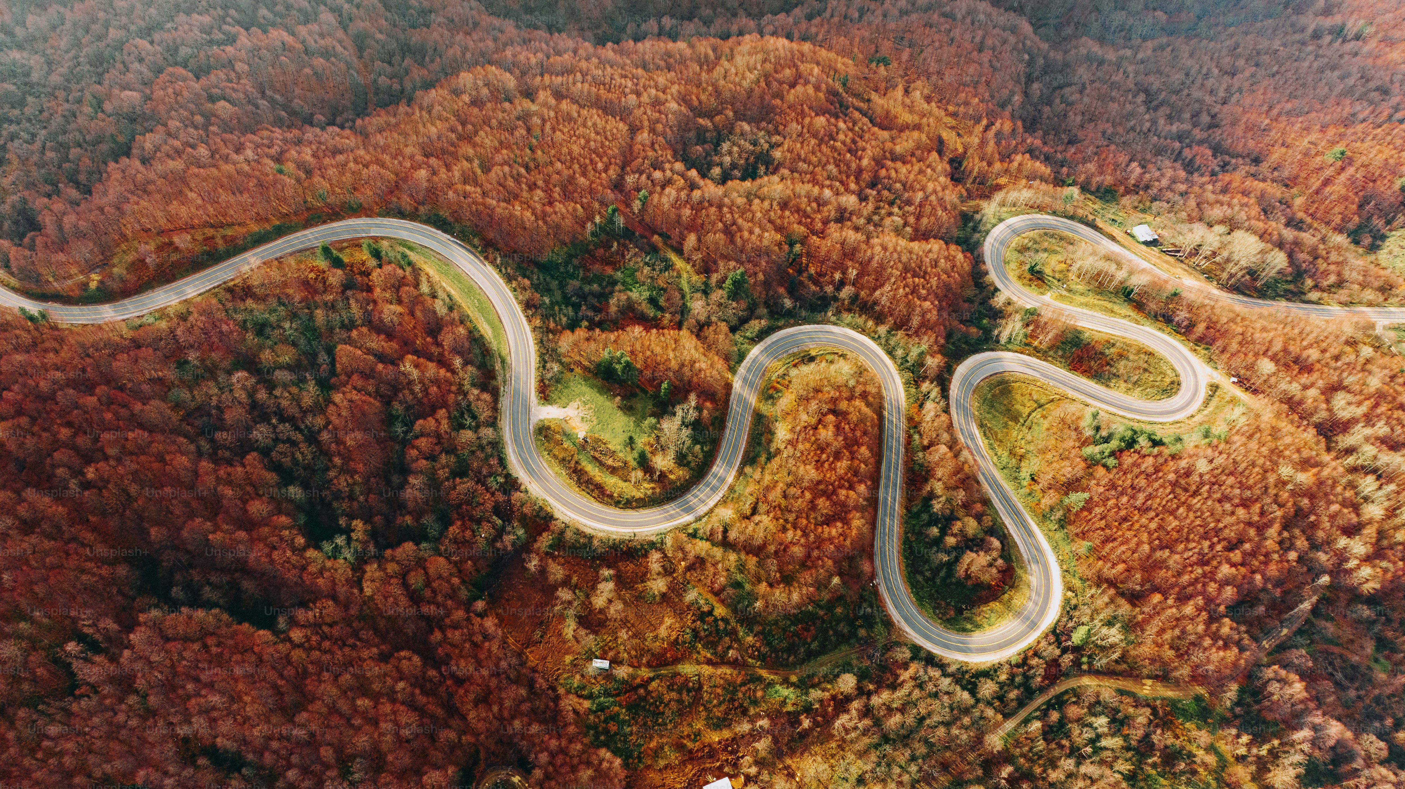 a winding road in the middle of a forest