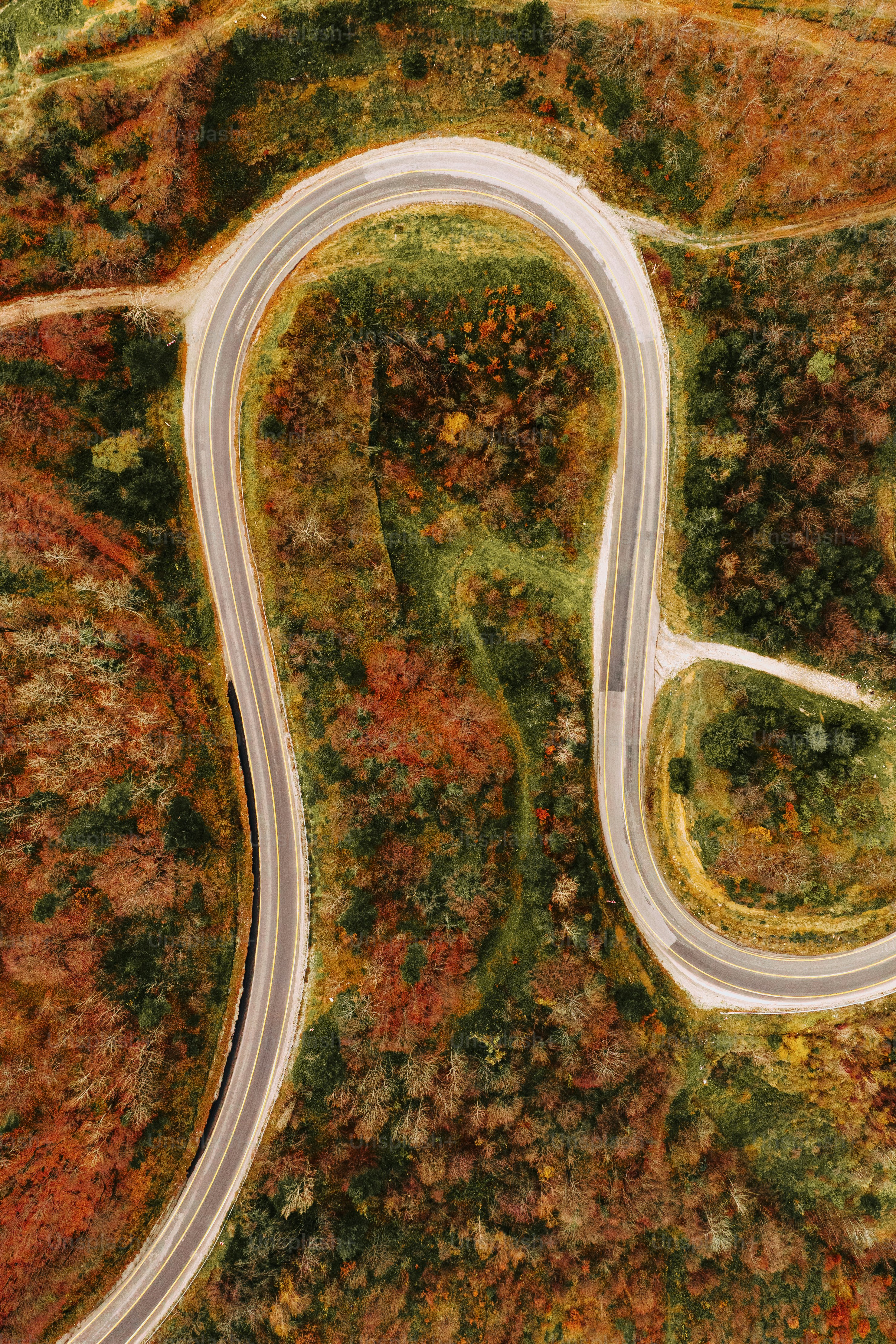 an aerial view of a winding road surrounded by trees