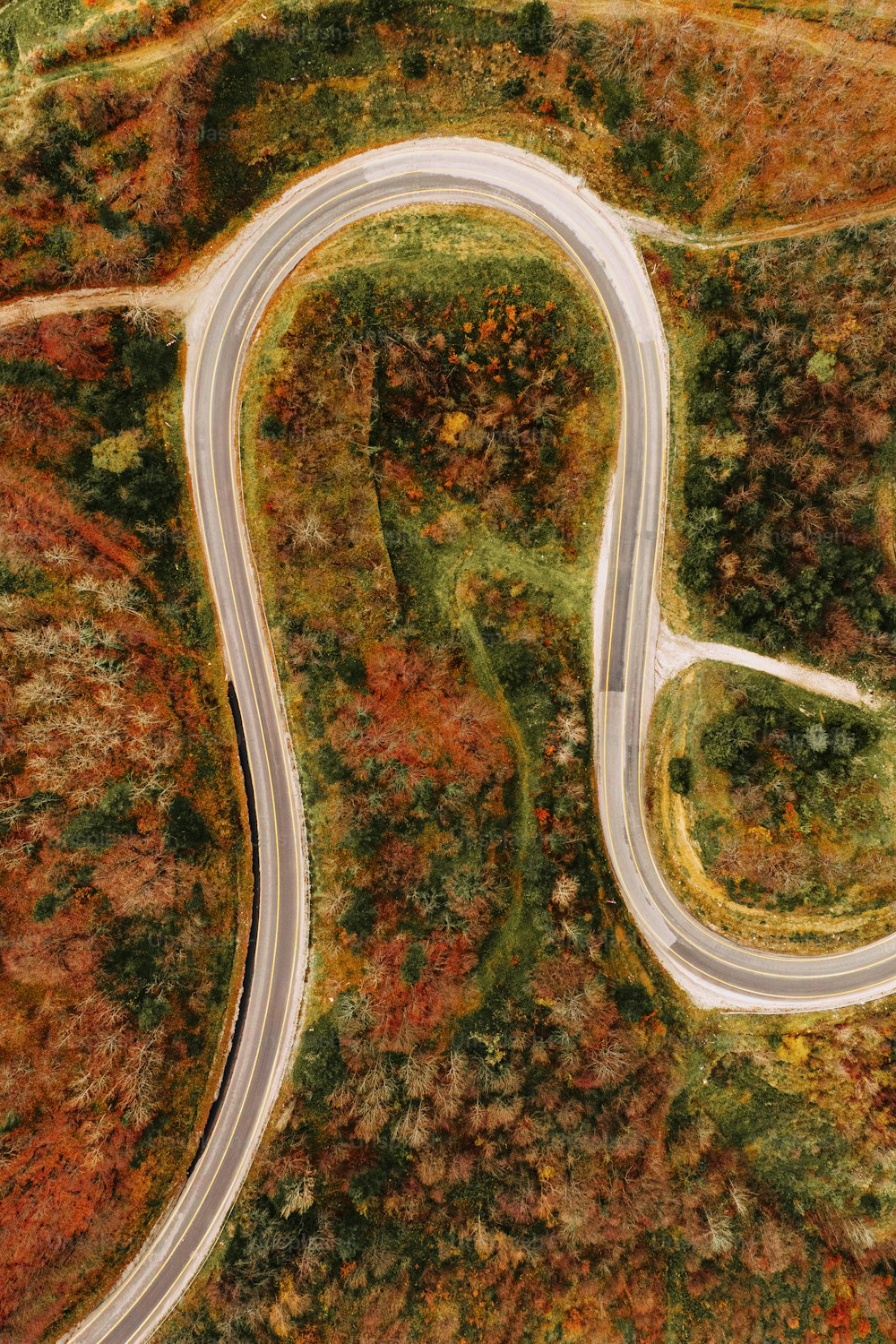 Vue aérienne d’une route sinueuse entourée d’arbres