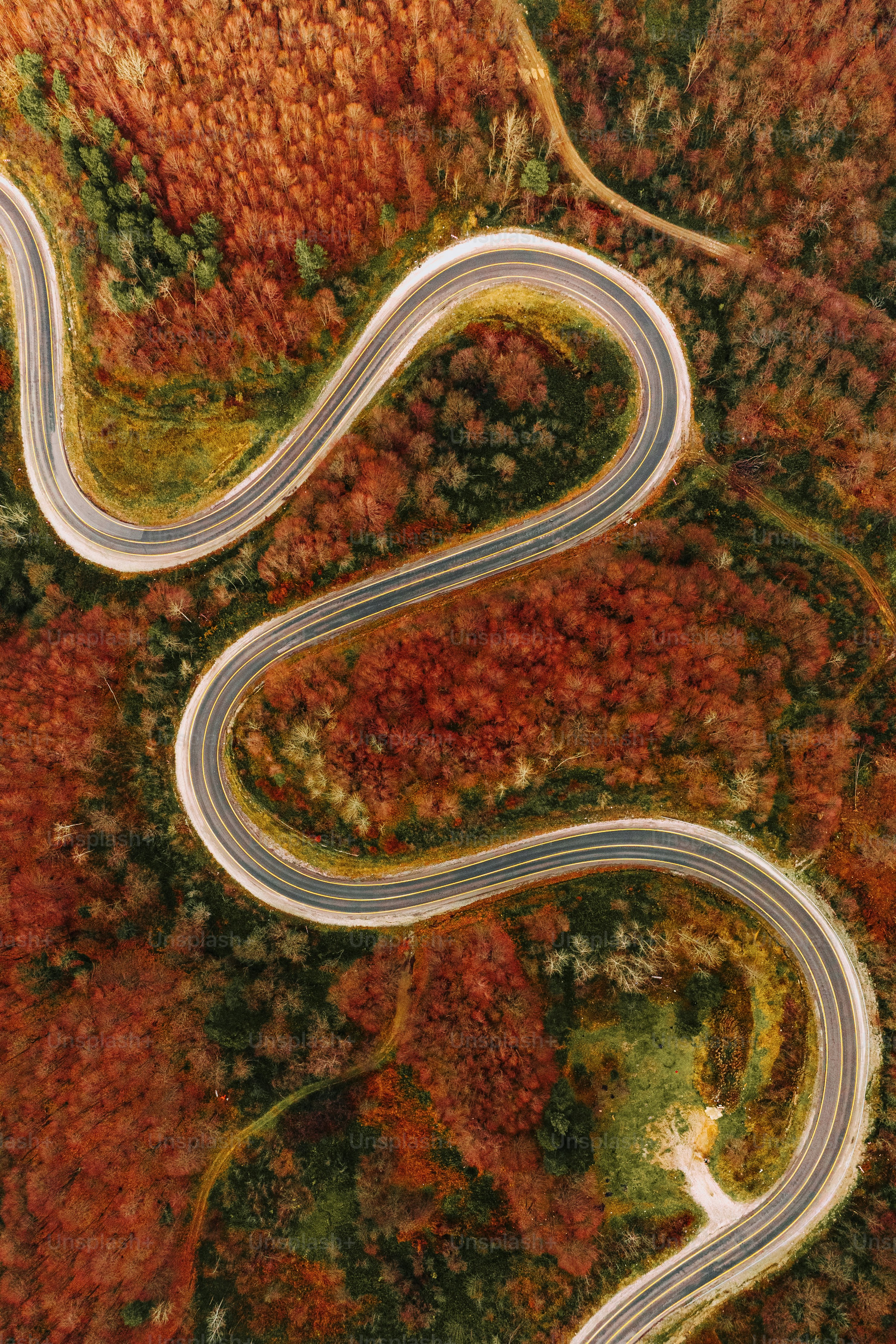 Una vista aérea de una carretera sinuosa rodeada de árboles