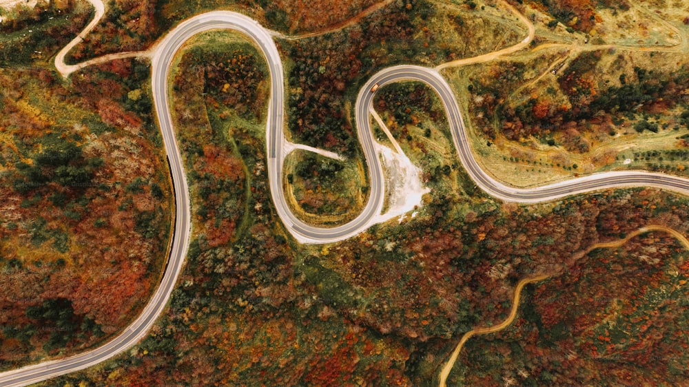 uma vista aérea de uma estrada sinuosa cercada por árvores