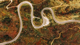 an aerial view of a winding road surrounded by trees