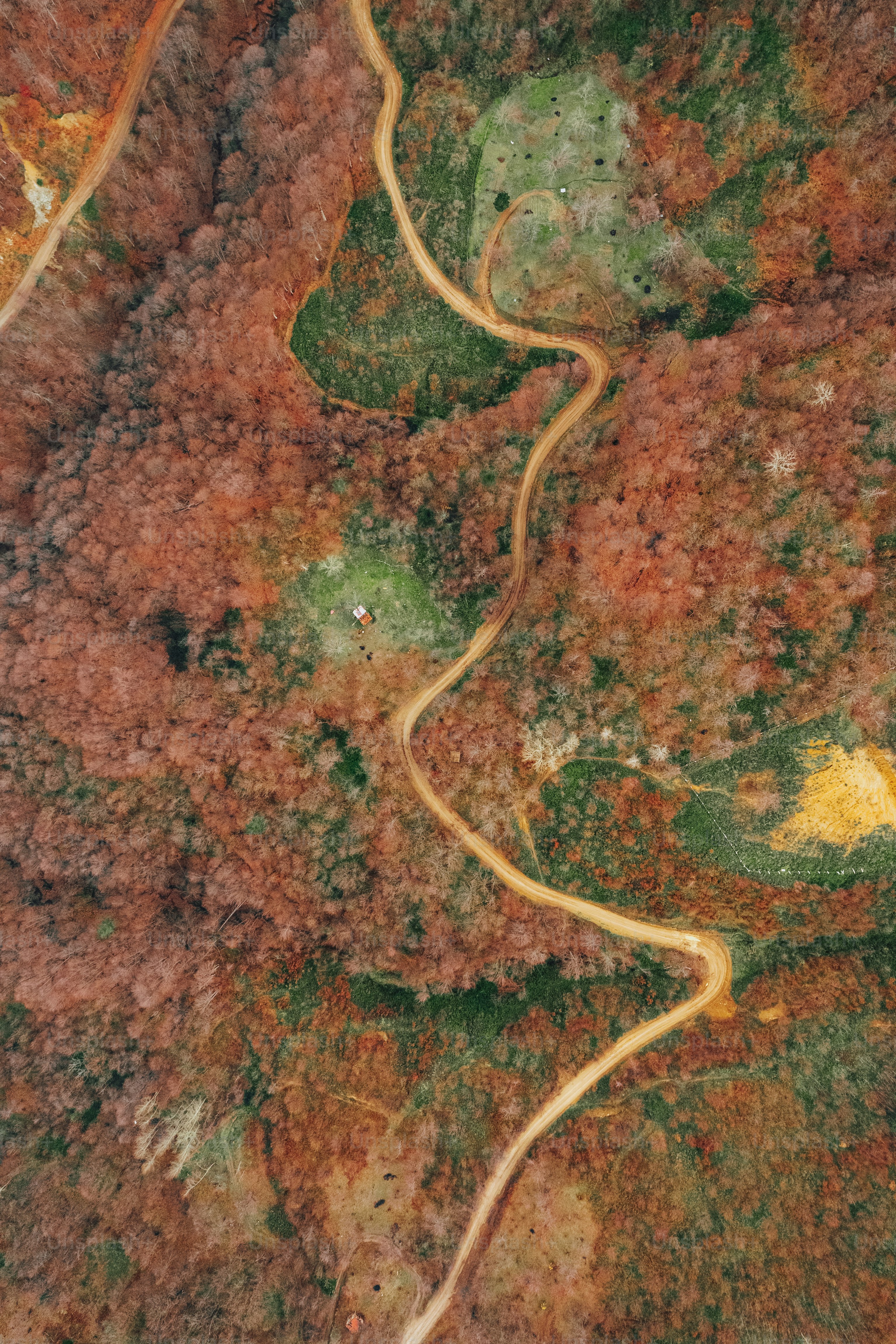 an aerial view of a winding road in the woods