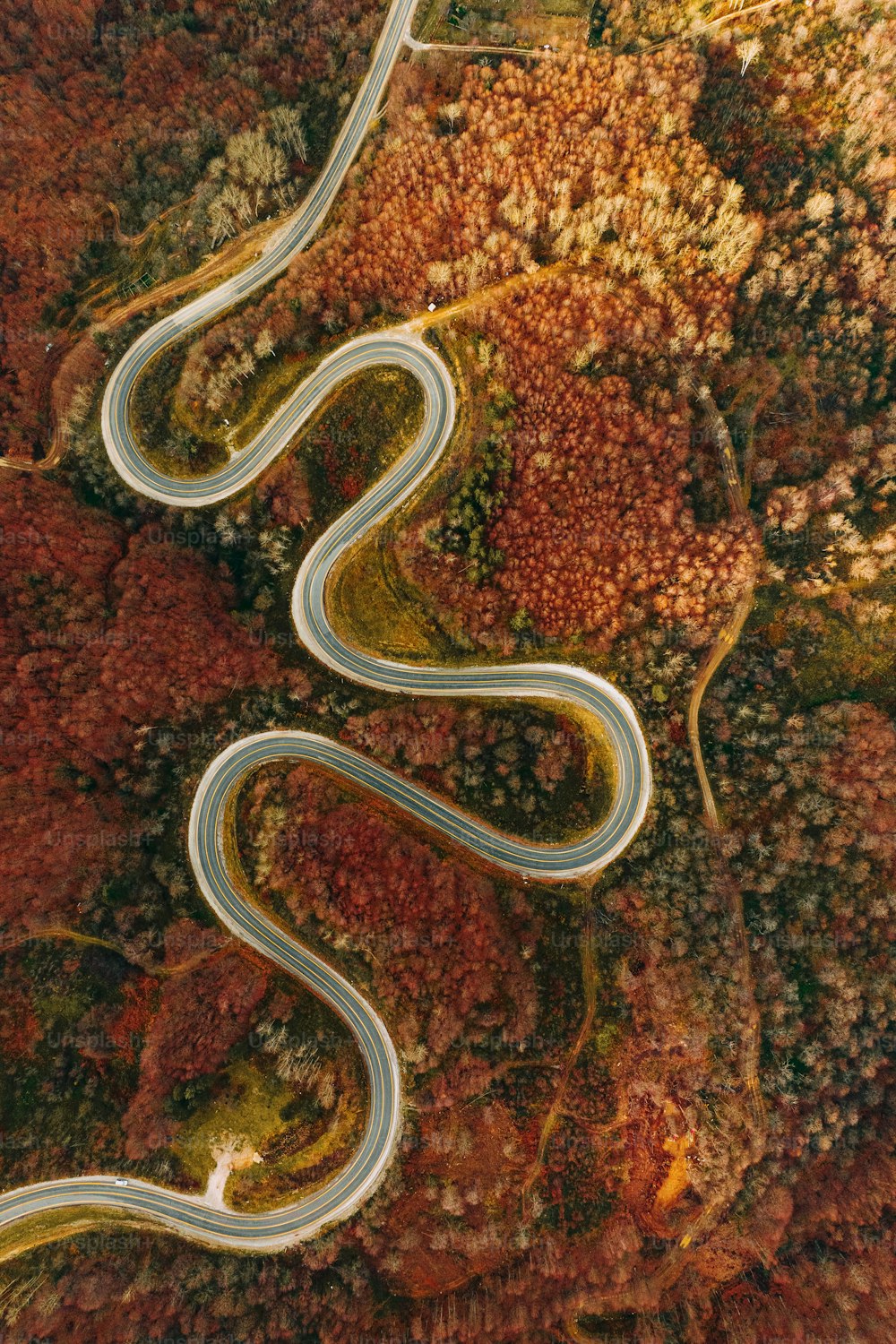 an aerial view of a winding road surrounded by trees