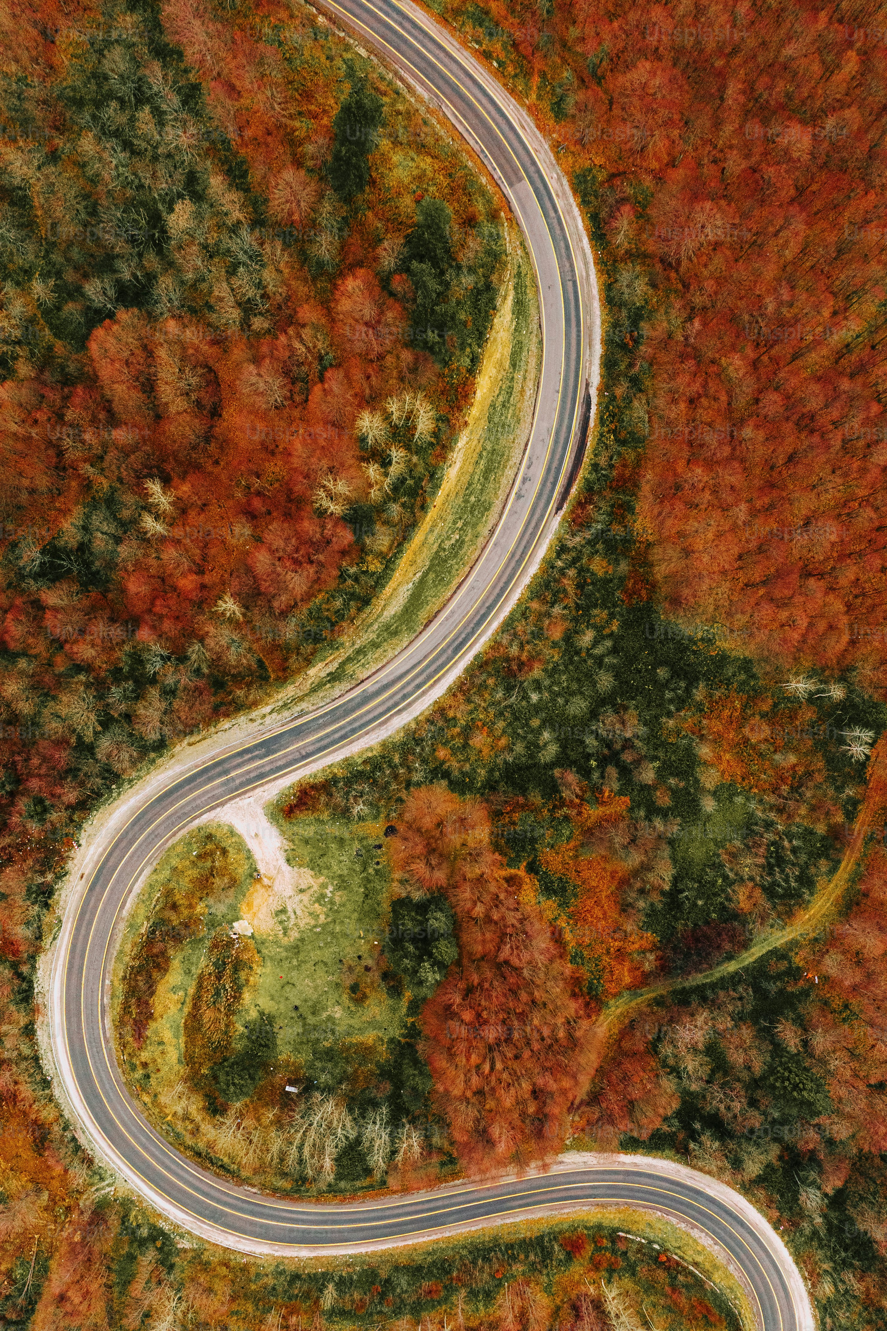 an aerial view of a winding road surrounded by trees