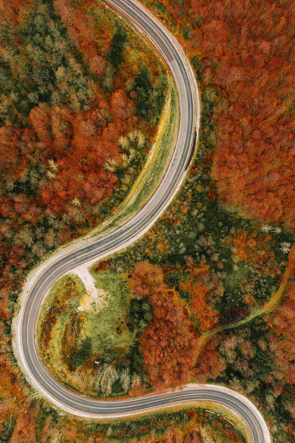 Una vista aerea di una strada tortuosa circondata da alberi