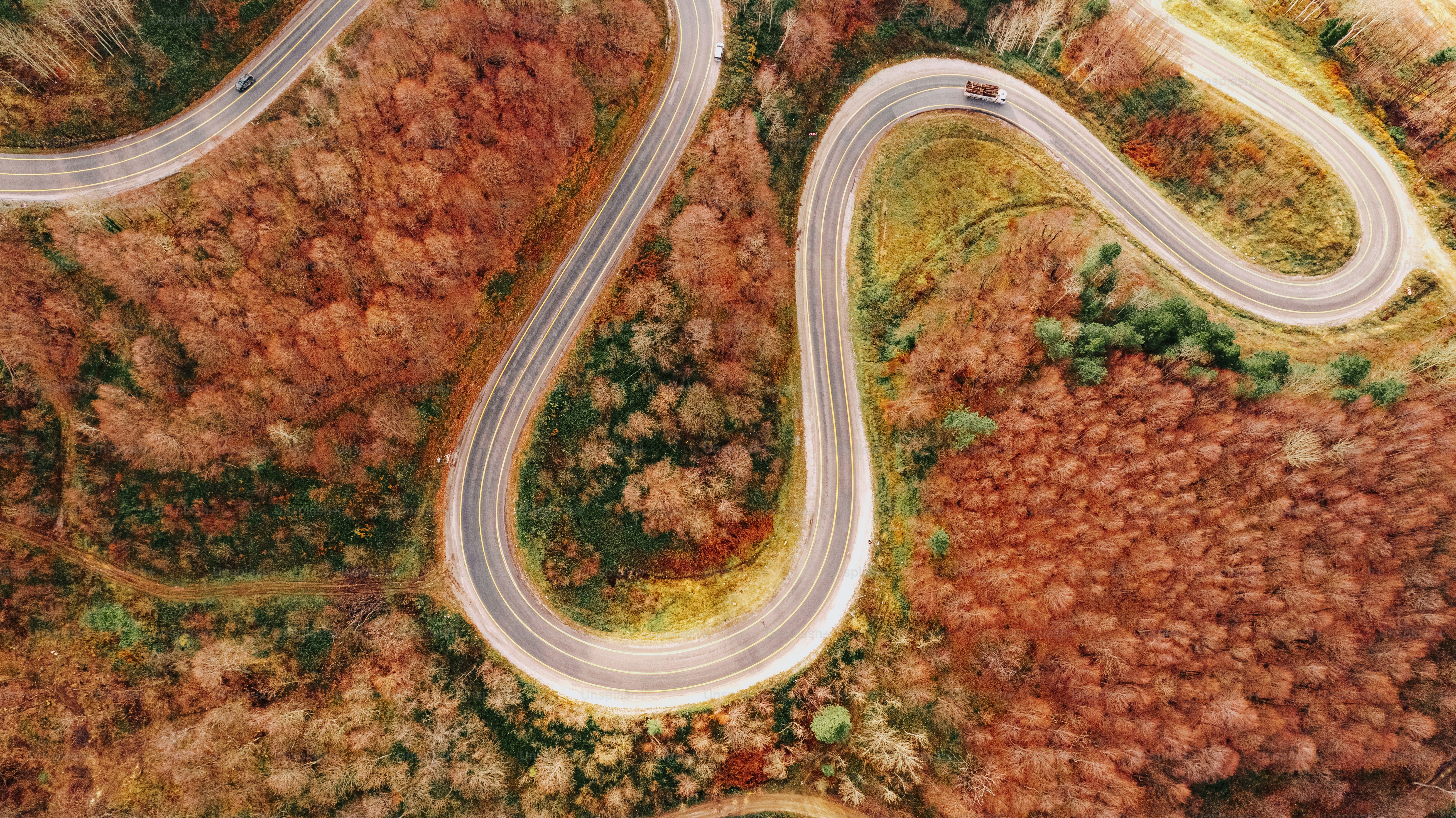 an aerial view of a winding road surrounded by trees