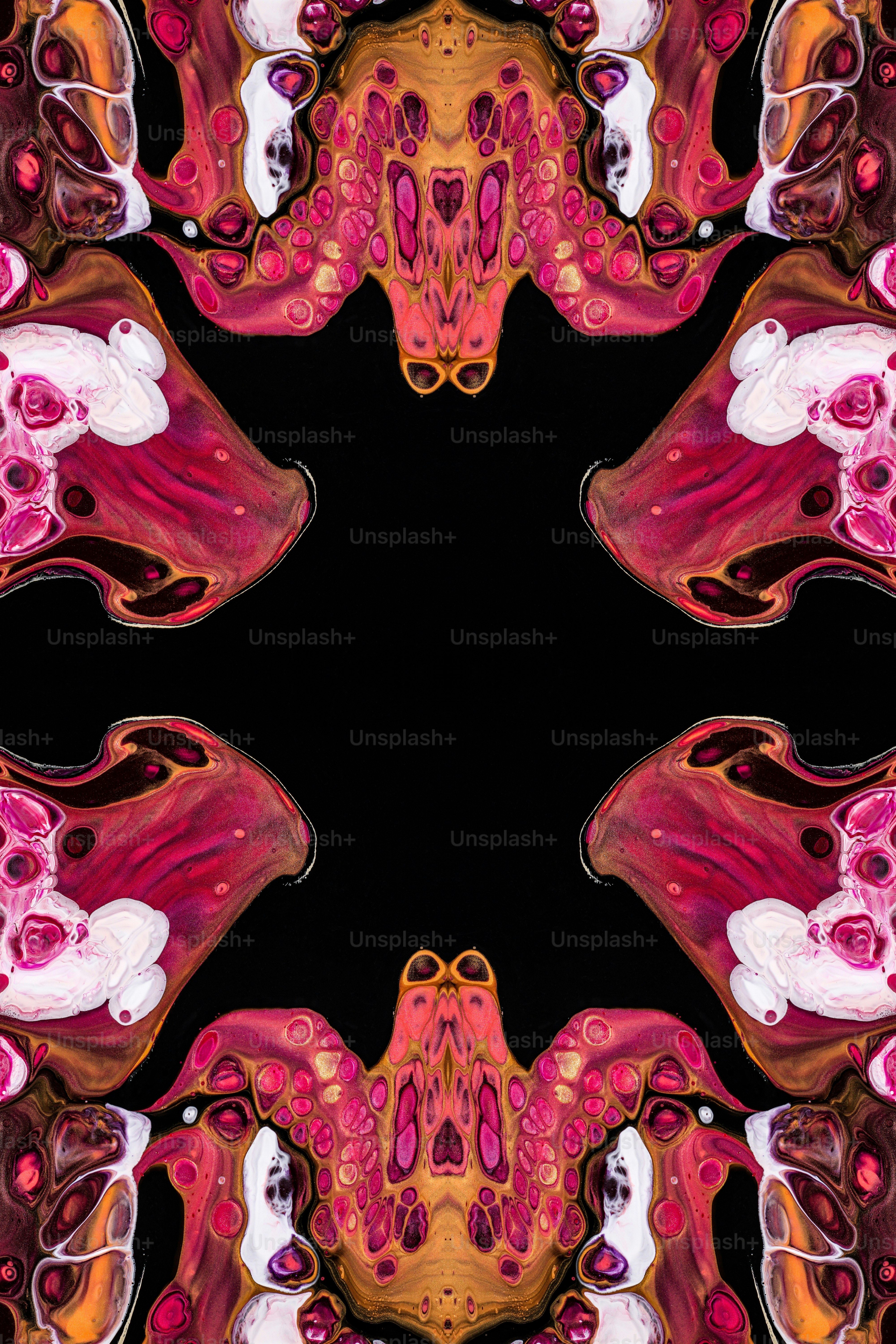 a kaleipe kaleipe kaleipe kaleipe kaleipe