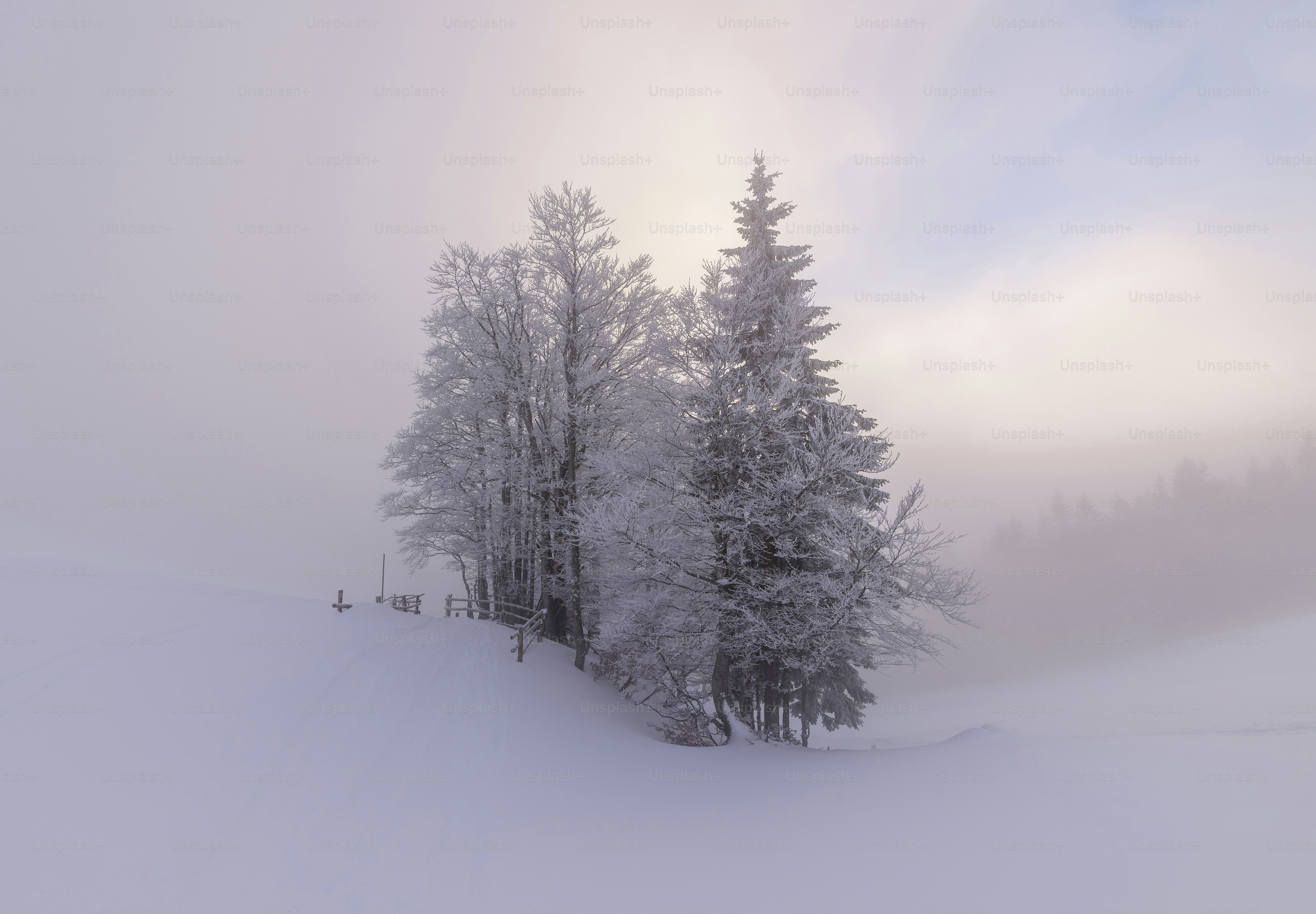 a group of people riding skis down a snow covered slope