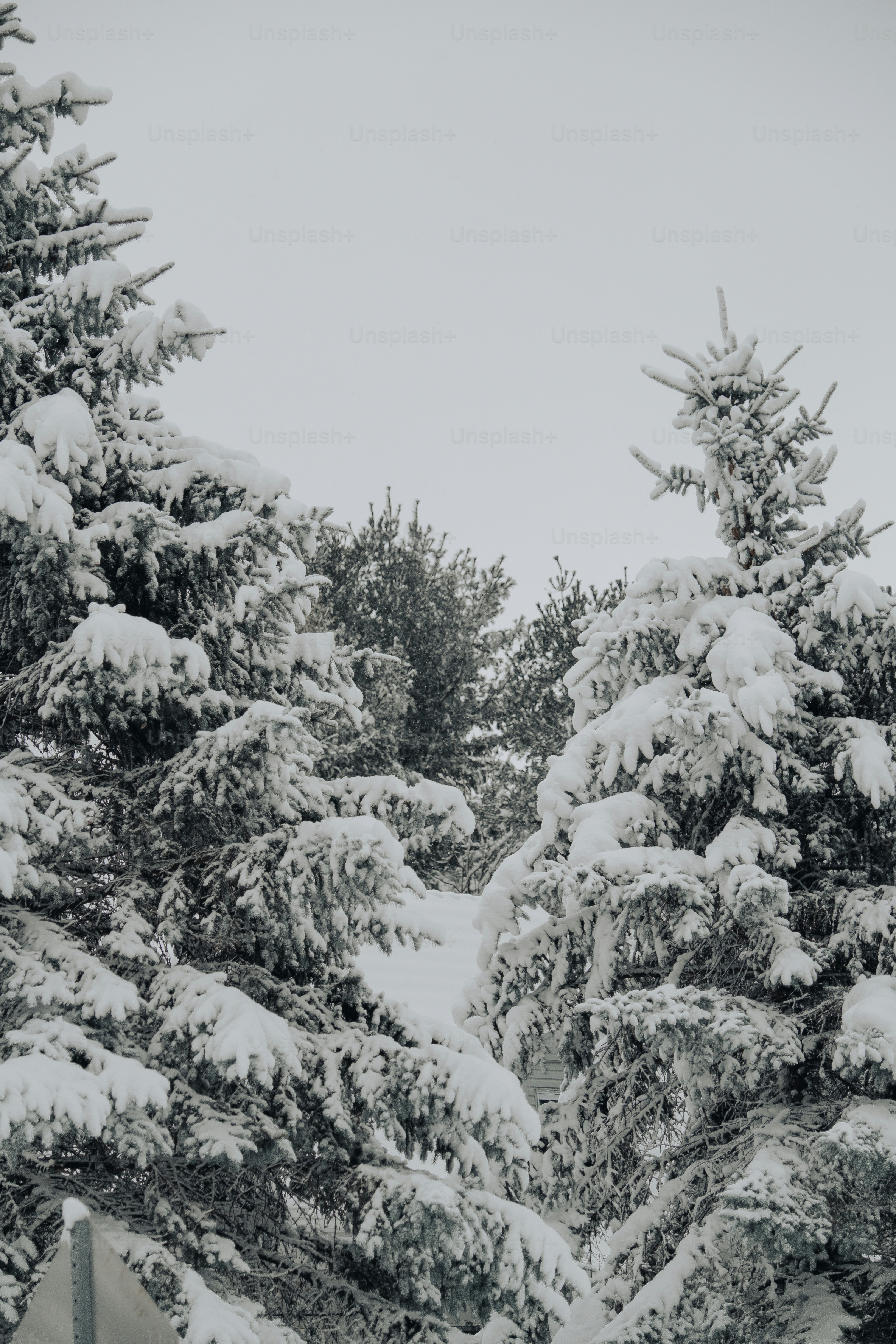 a snowboarder is going down a snowy hill