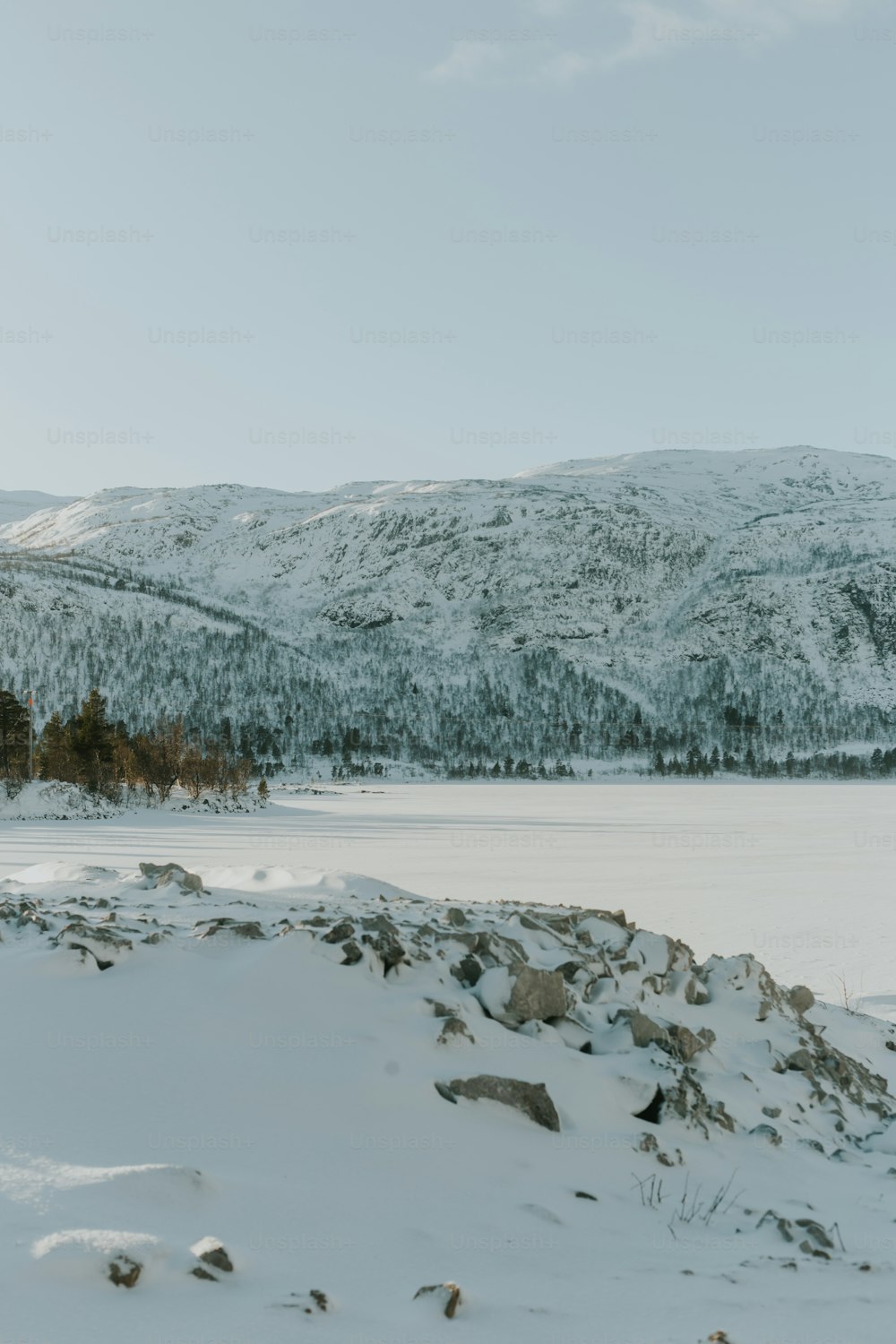 a snowy landscape with a mountain in the background