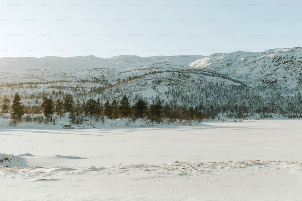 a person riding skis on a snowy surface