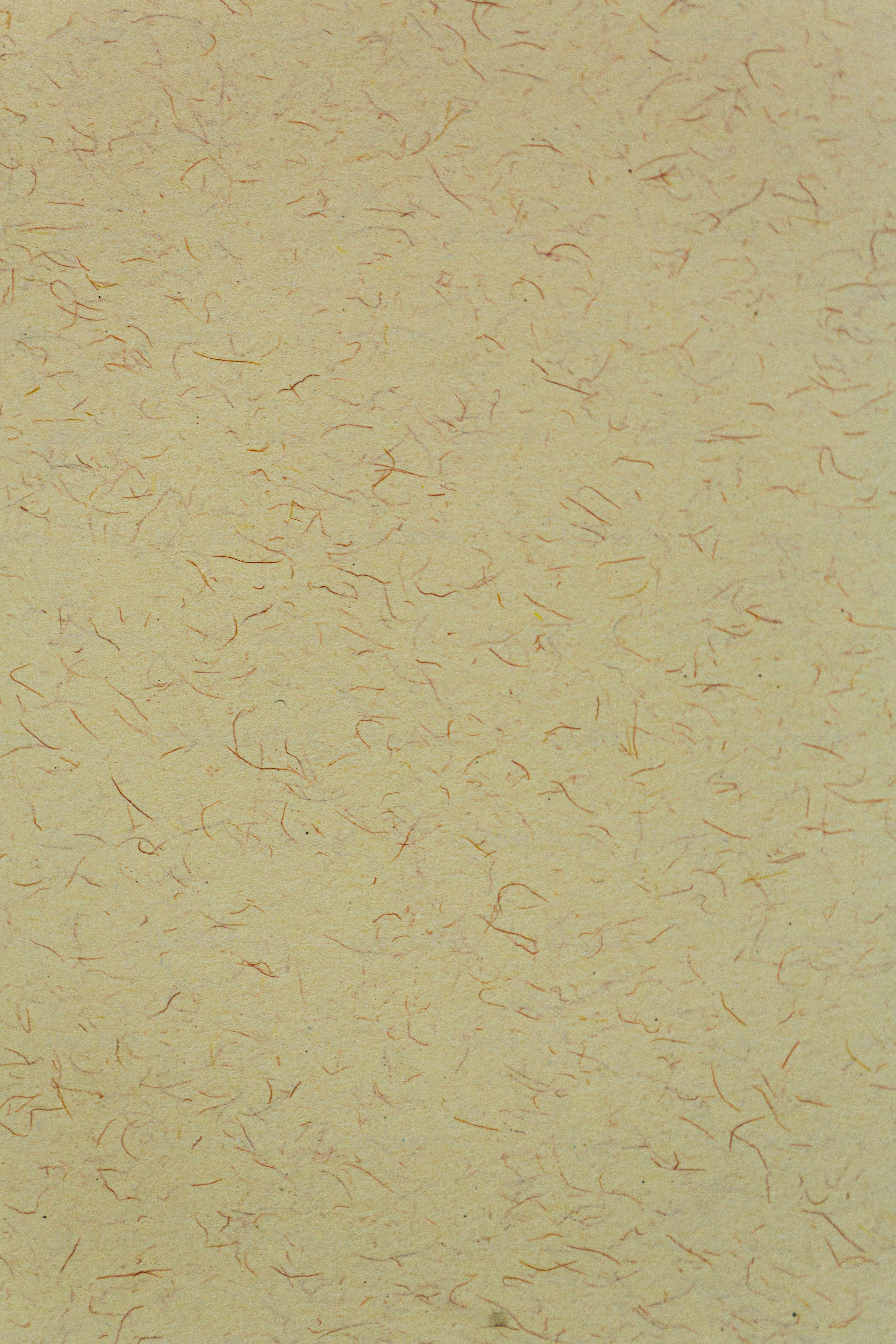 携帯電話を手に持つ人