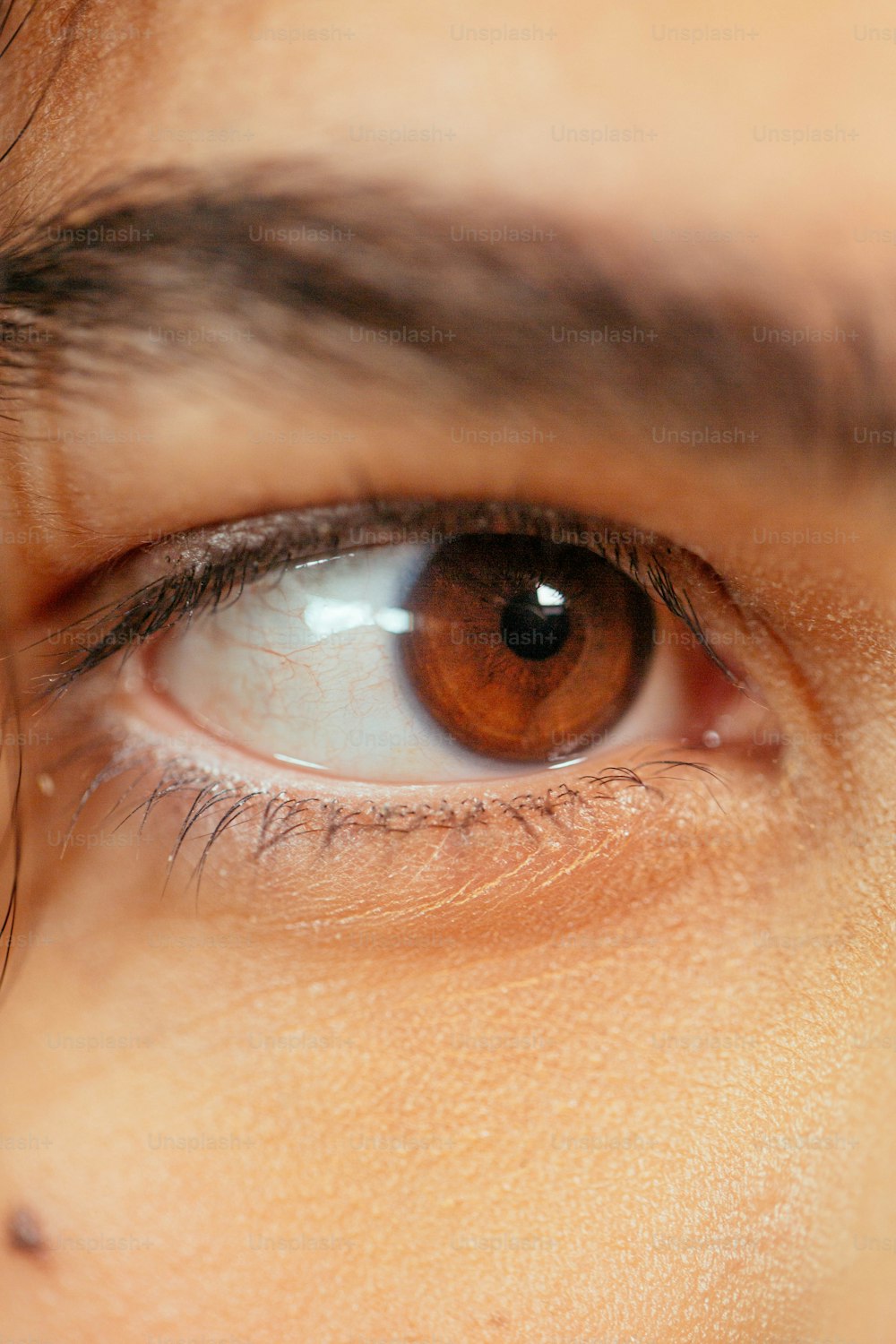 a close up of a person's brown eye