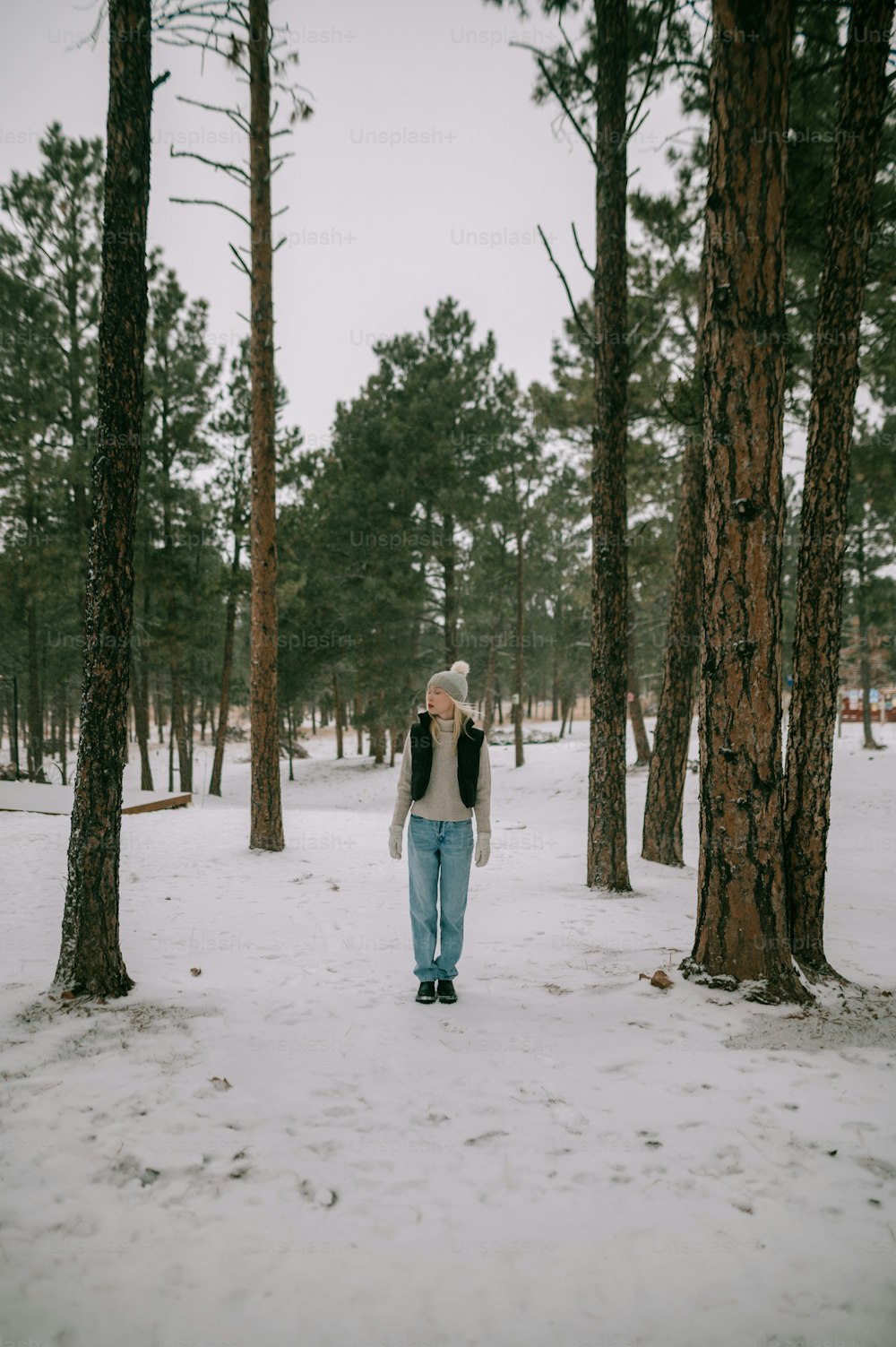a person walking through a snowy forest
