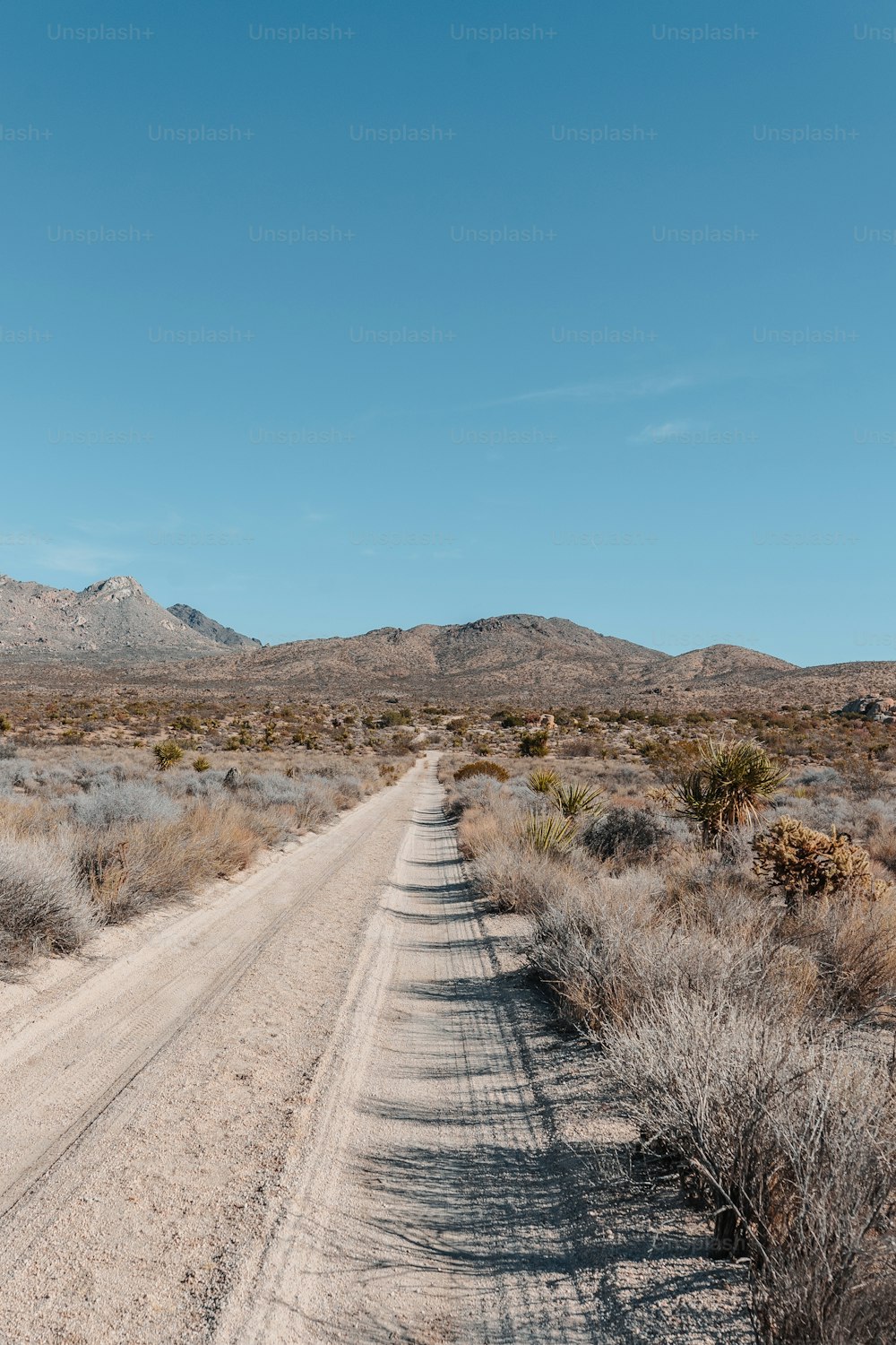 砂漠の真ん中にある未舗装の道路