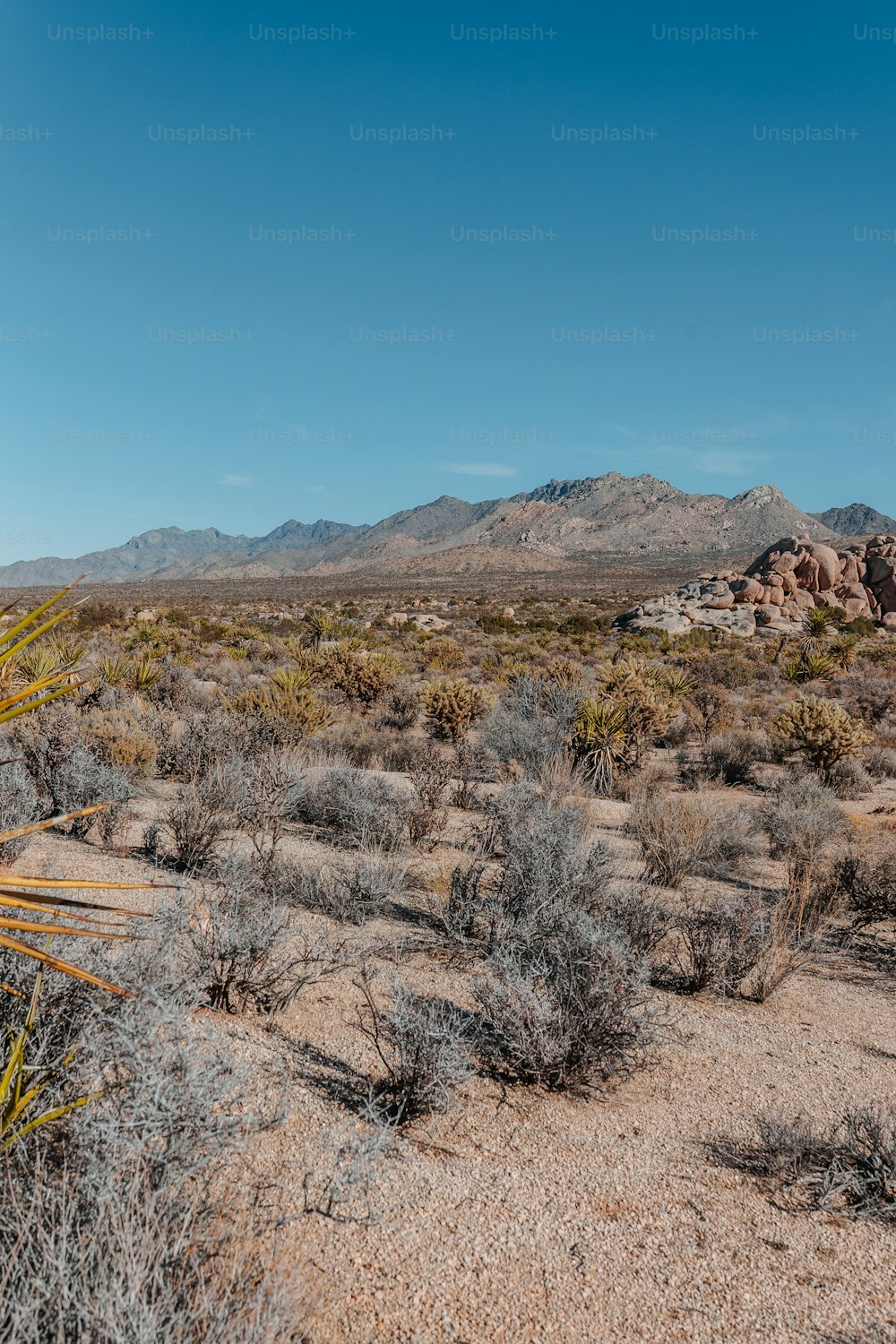 a dirt field with mountains in the background