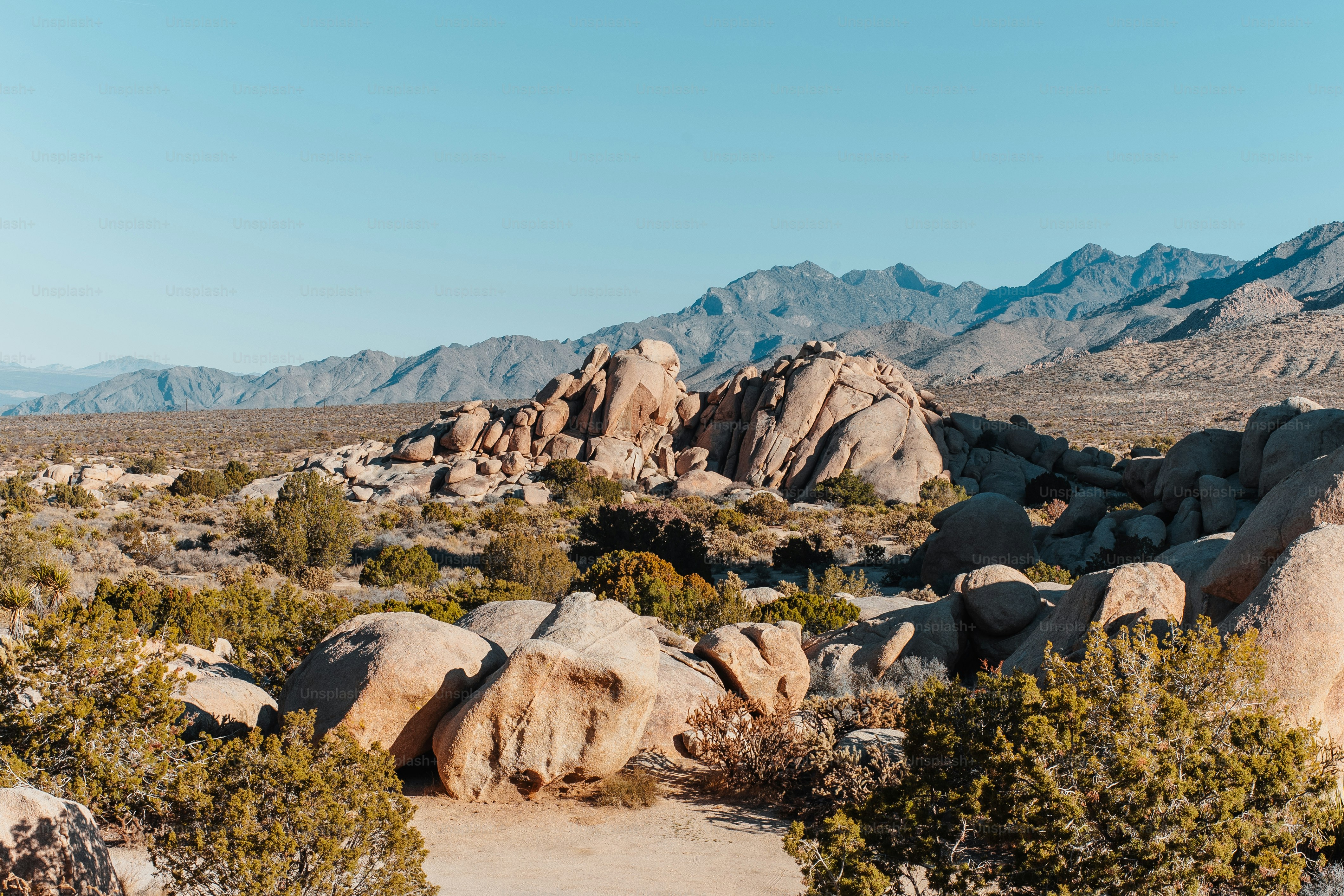Foto Un paisaje rocoso con montañas al fondo – Desierto de Mojave ...