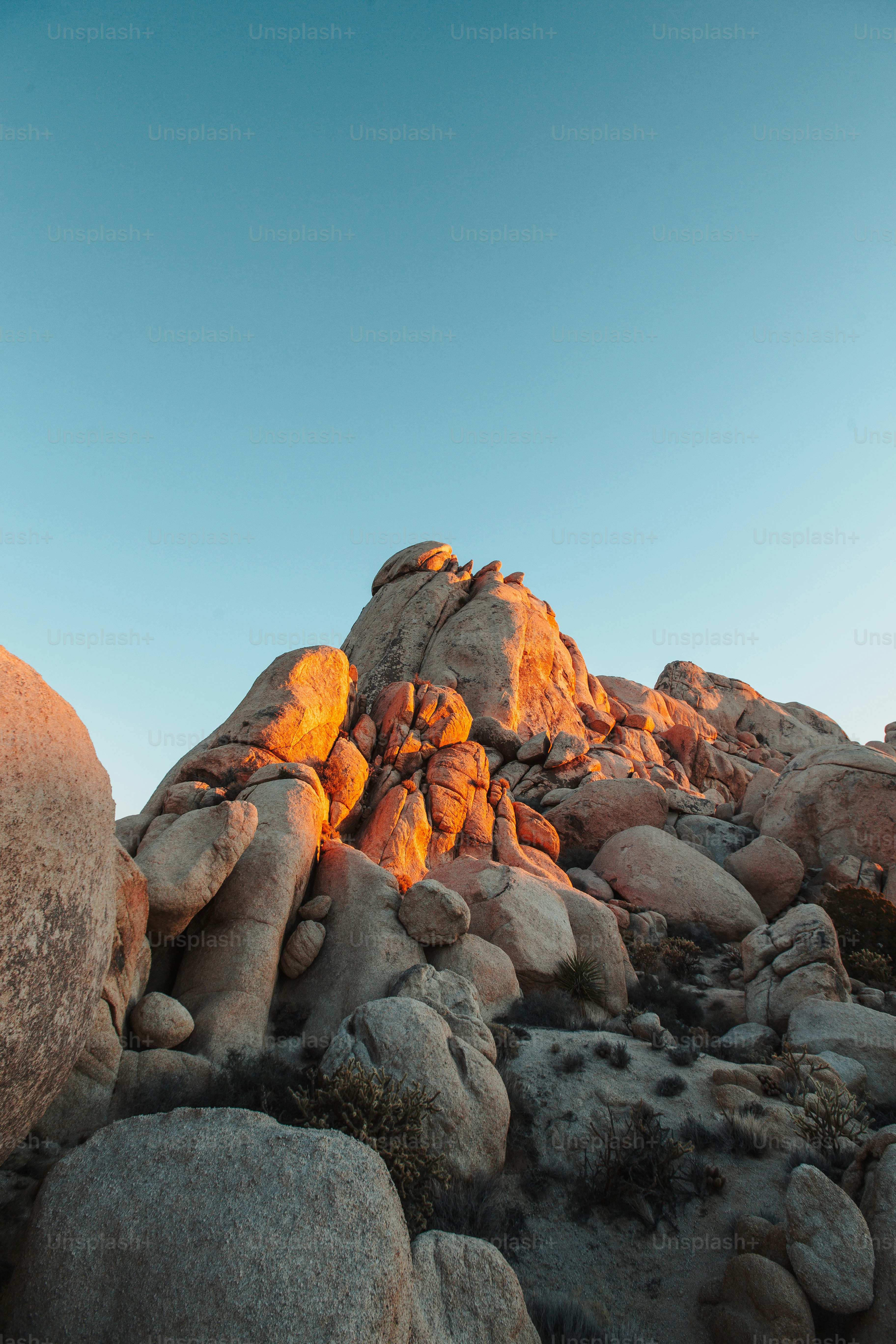 Una montaña con rocas y plantas en primer plano foto – Imagen de Luz del  sol en Unsplash, image size:3000x4500