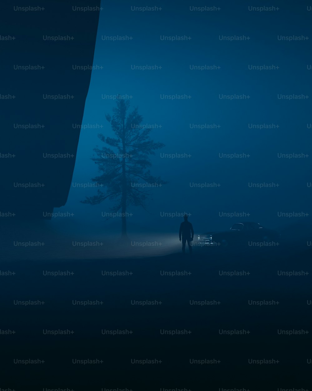 two people standing in the fog in front of a tree