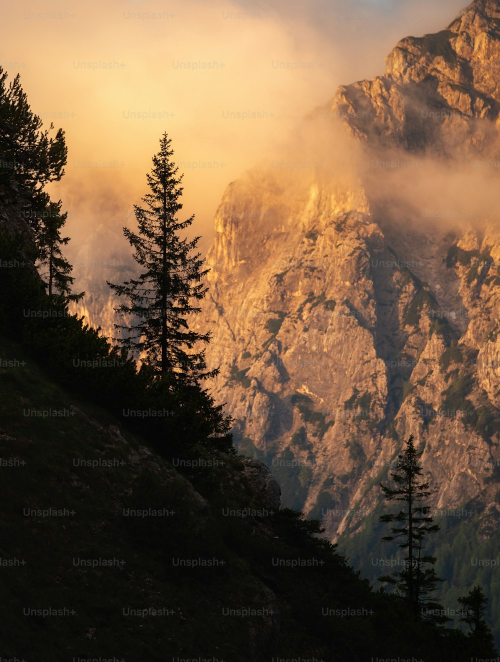 Blick auf einen Berg mit Bäumen im Vordergrund