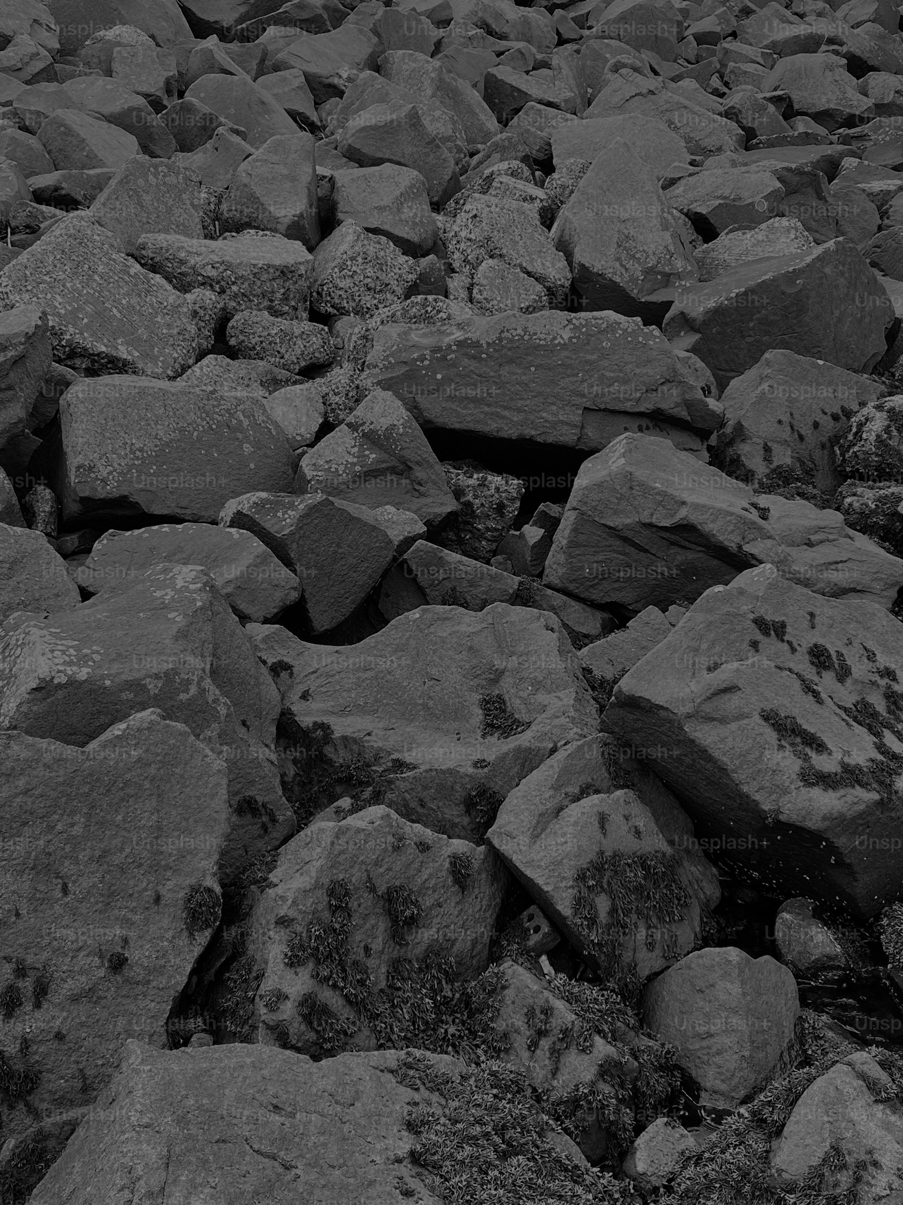 a black and white photo of rocks and grass