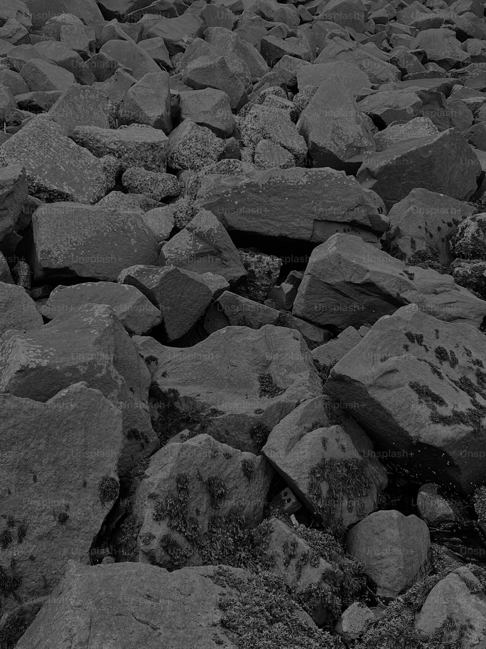 a black and white photo of rocks and grass
