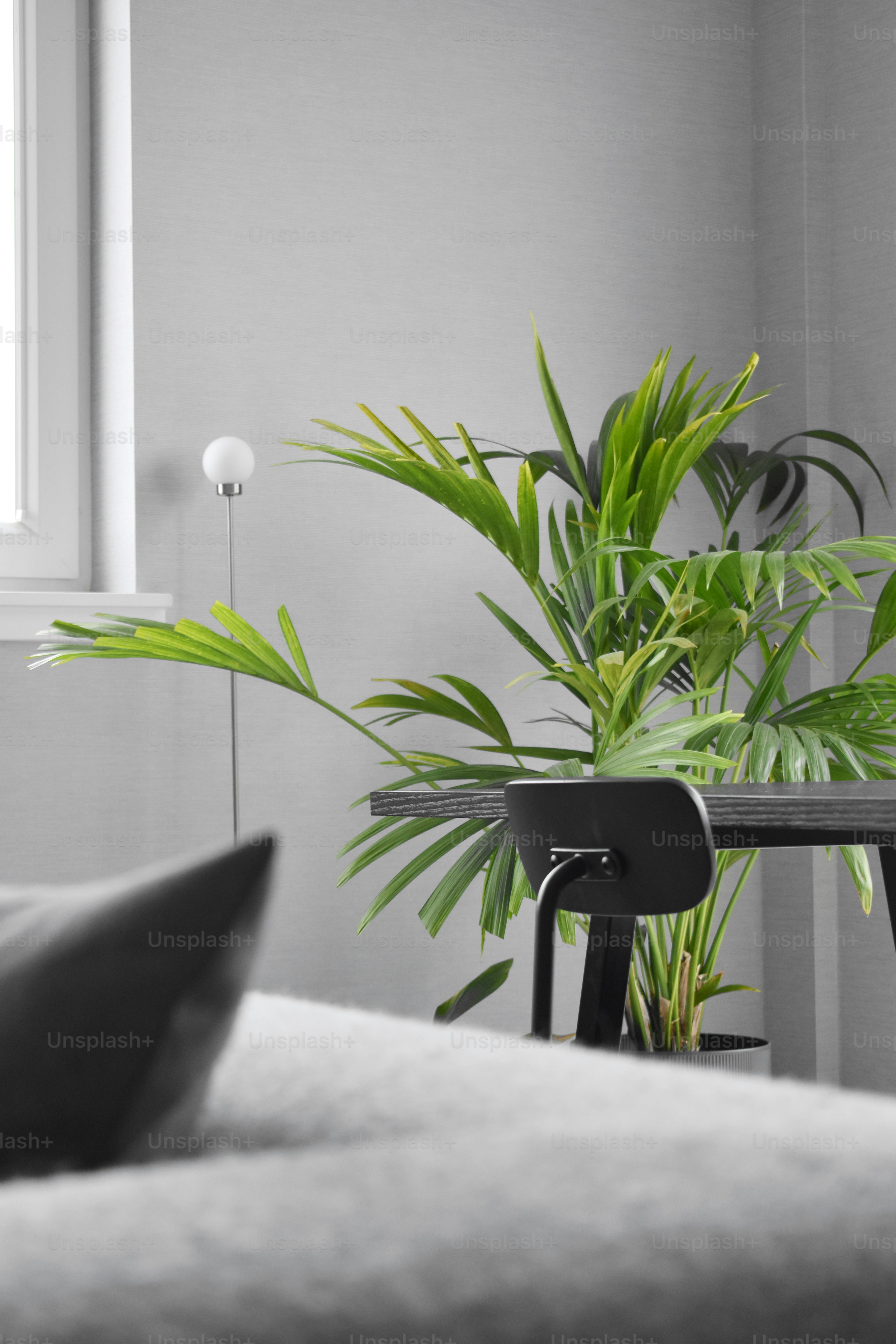 un salon avec un canapé et une table