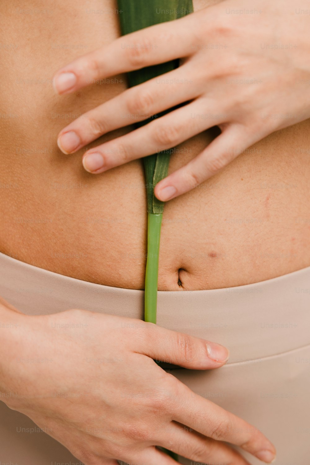 a close up of a person holding a plant