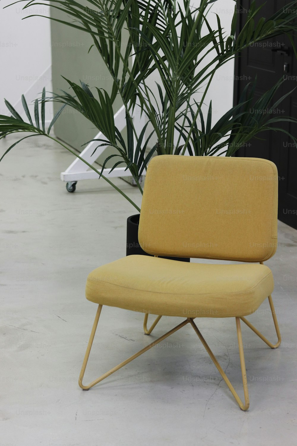 a yellow chair sitting in front of a plant