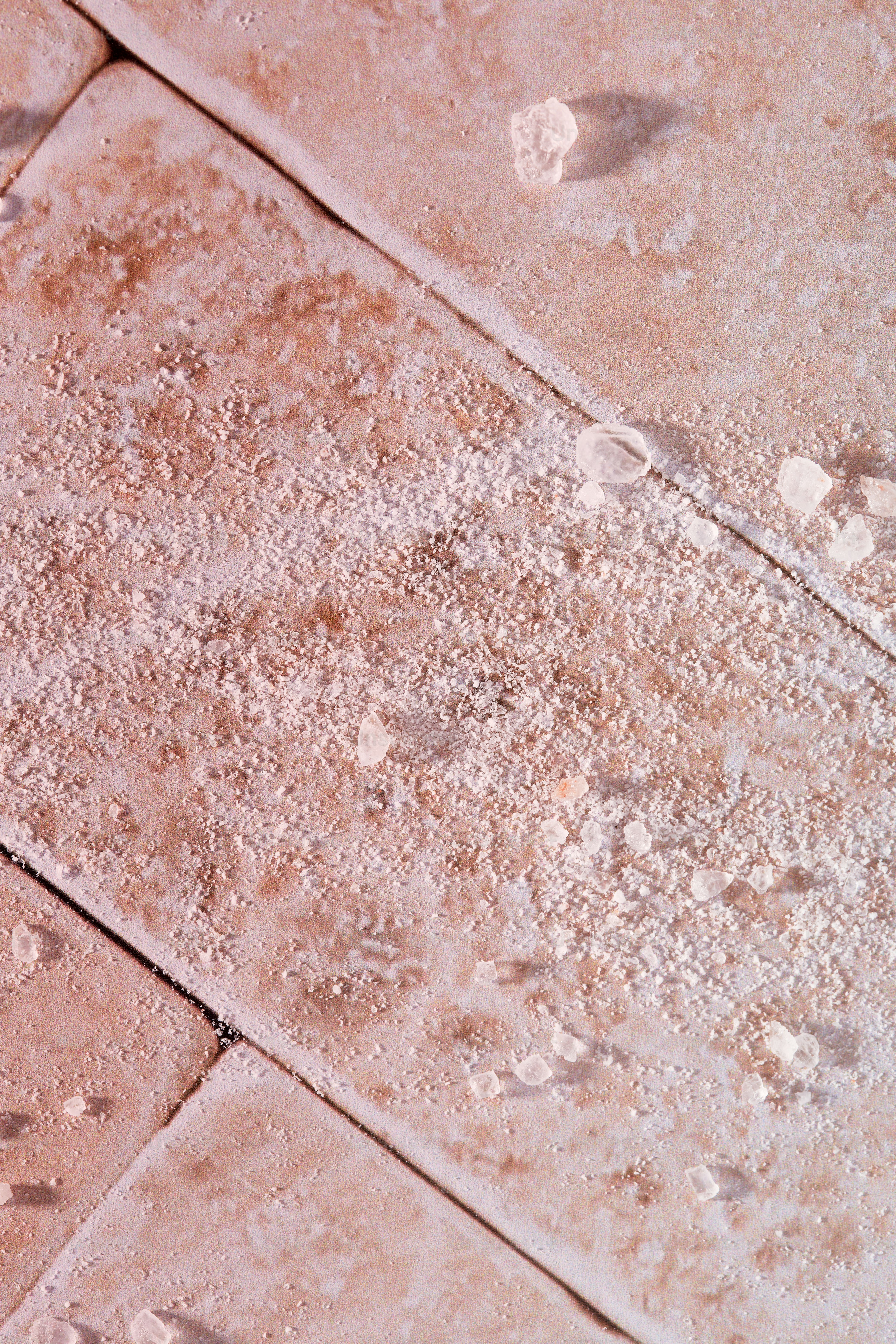 새가 타일 바닥에 앉아있다.