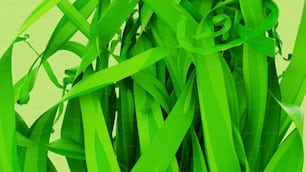Un gros plan d’un bouquet d’herbe verte