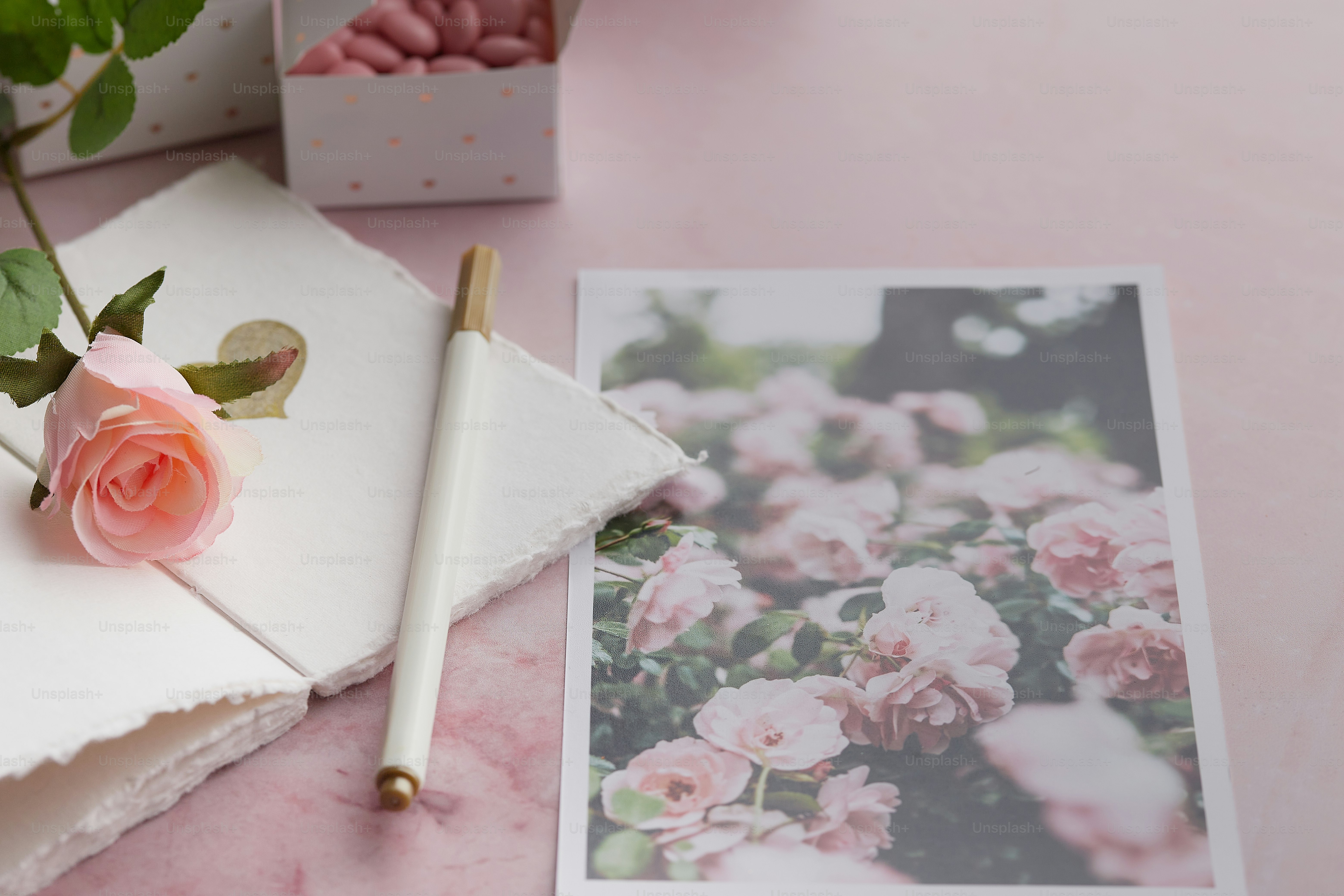 uma rosa rosa sentada em cima de uma mesa rosa
