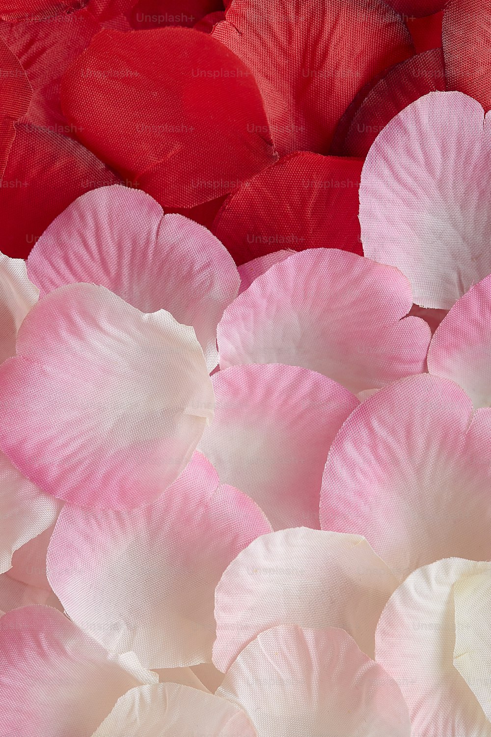 테이블에 분홍색과 흰색 꽃의 무리