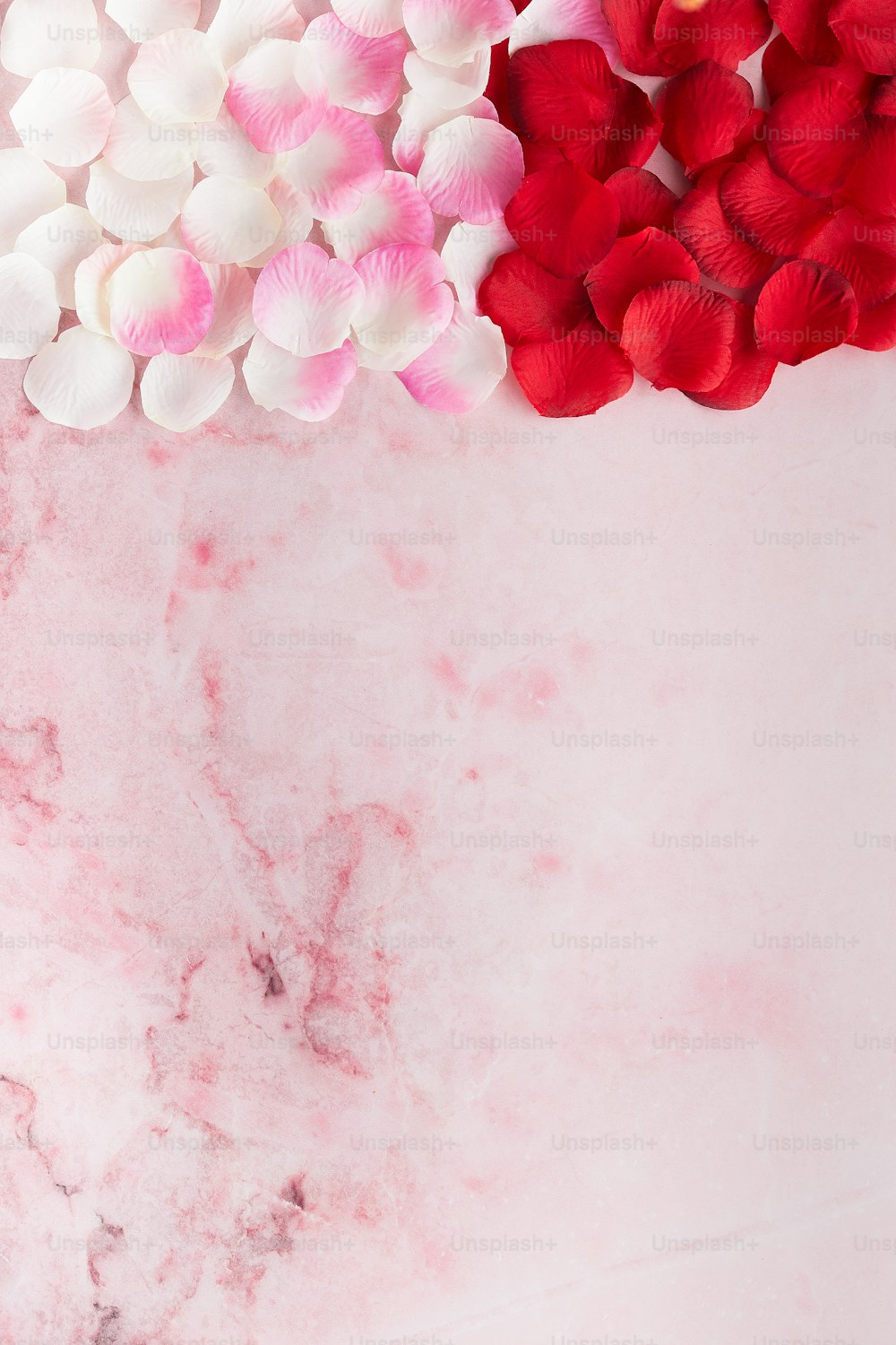 ピンクの大理石の背景に赤と白の花