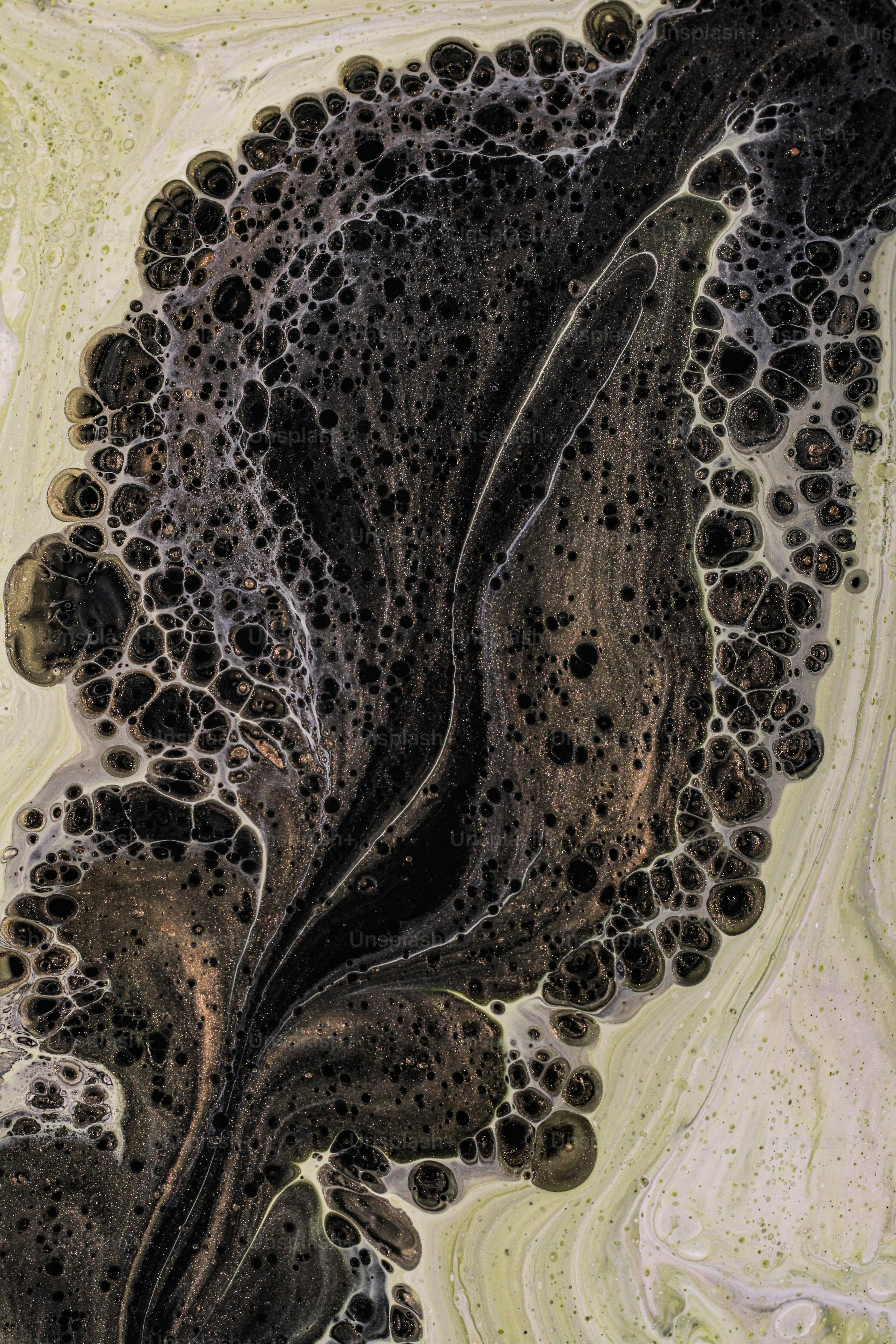 Luftaufnahme eines Schwarz-Weiß-Bereichs