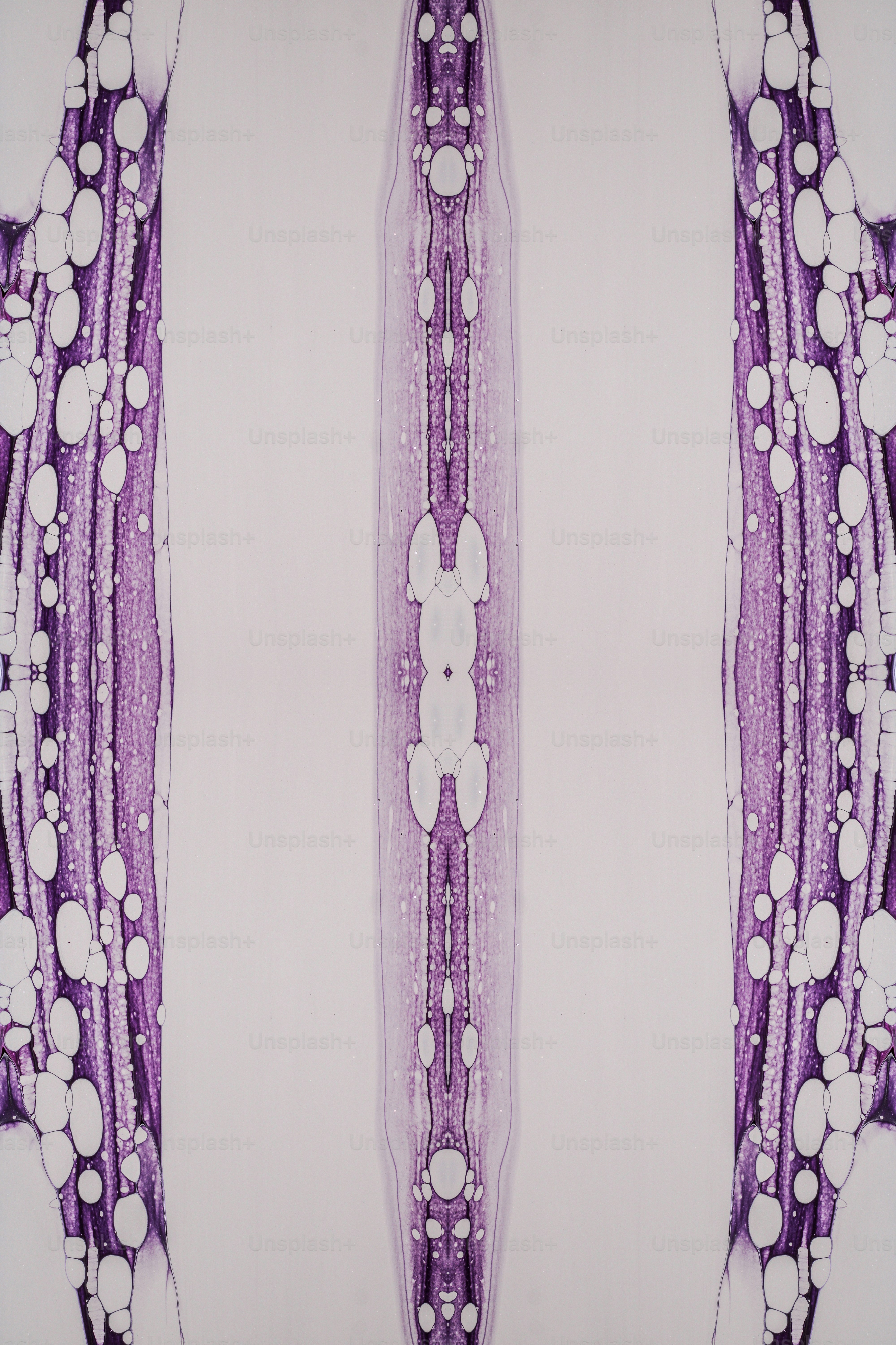 A cross section of a vein with white dots photo – Wallpaper Image on ...