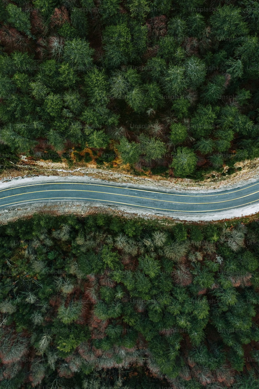 an aerial view of a road in the middle of a forest