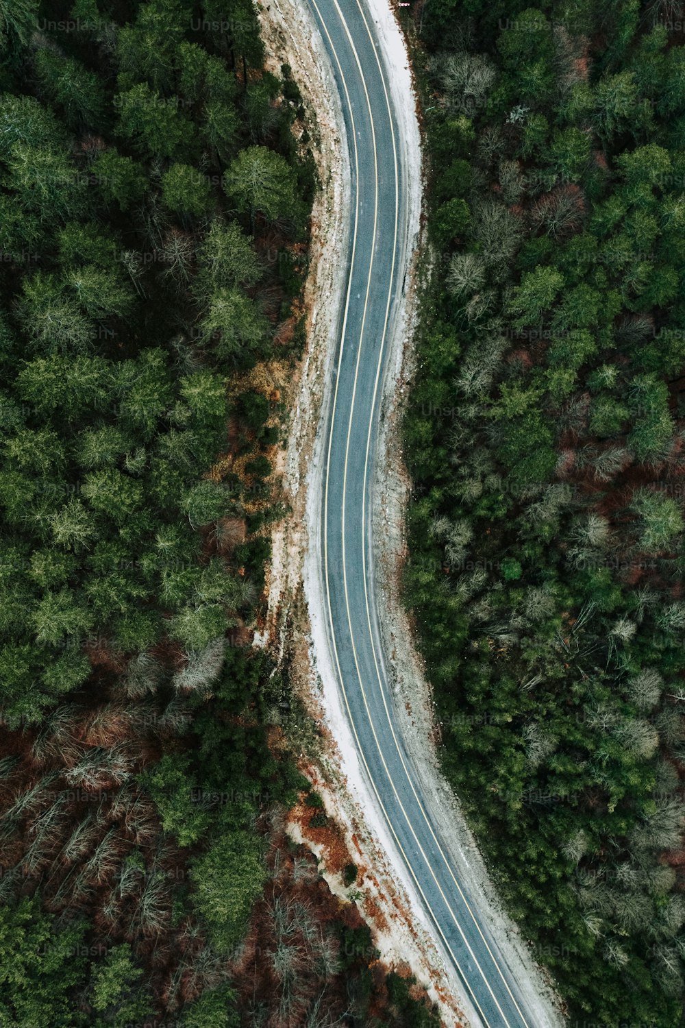 a winding road in the middle of a forest